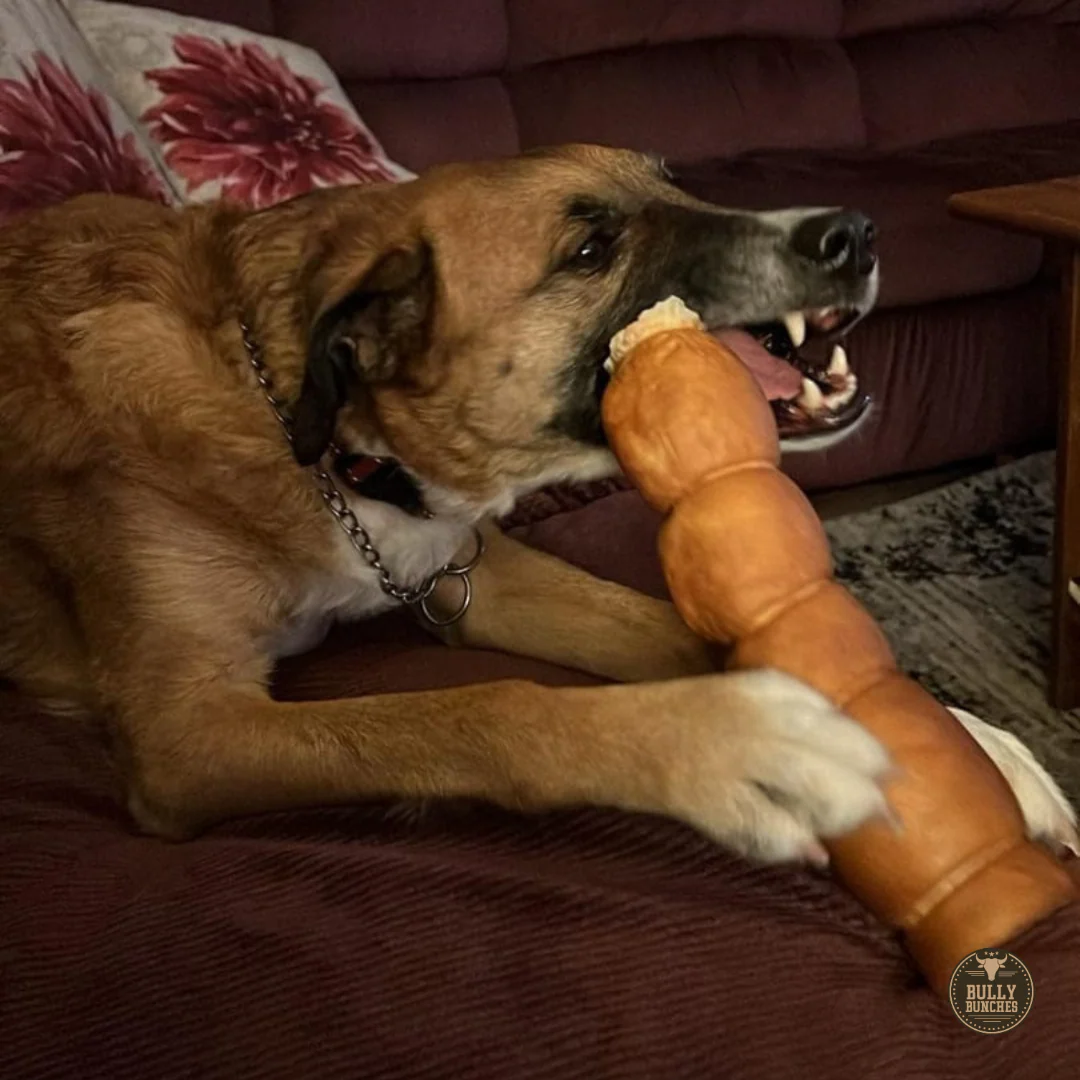 10-12 Inch Peanut Butter Cheek Roll - Image 5