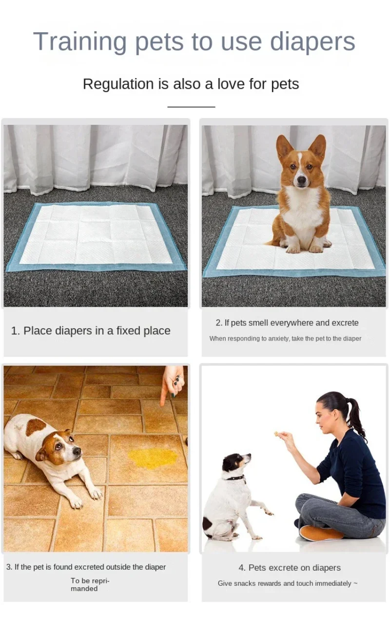Absorbent Pee Pads for Puppy Training & Senior Pups - Image 12