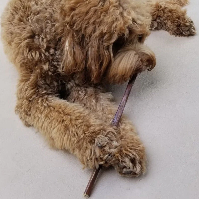 12 Inch Beef Jerky Stick - Image 4