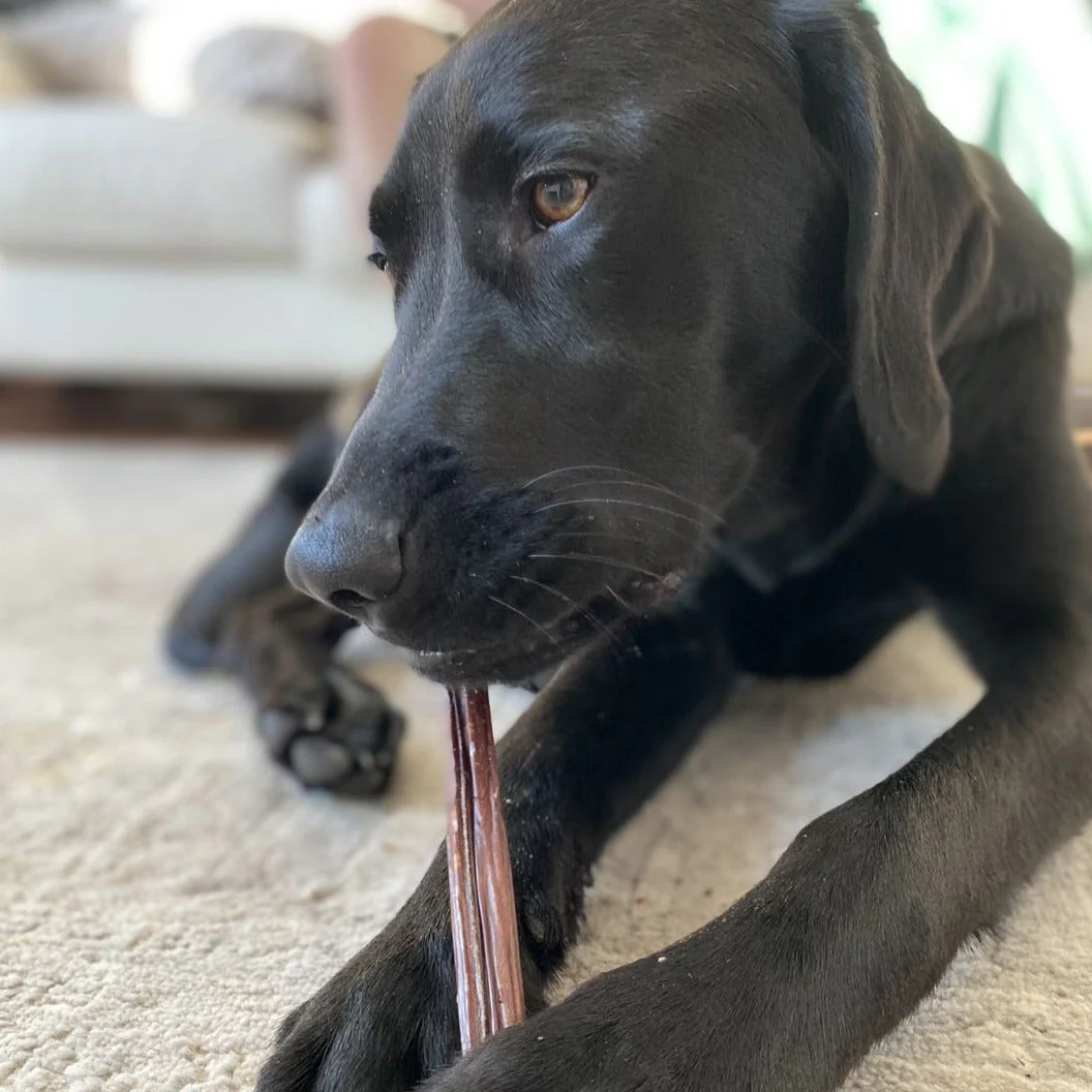 12 Inch Beef Jerky Stick - Image 6
