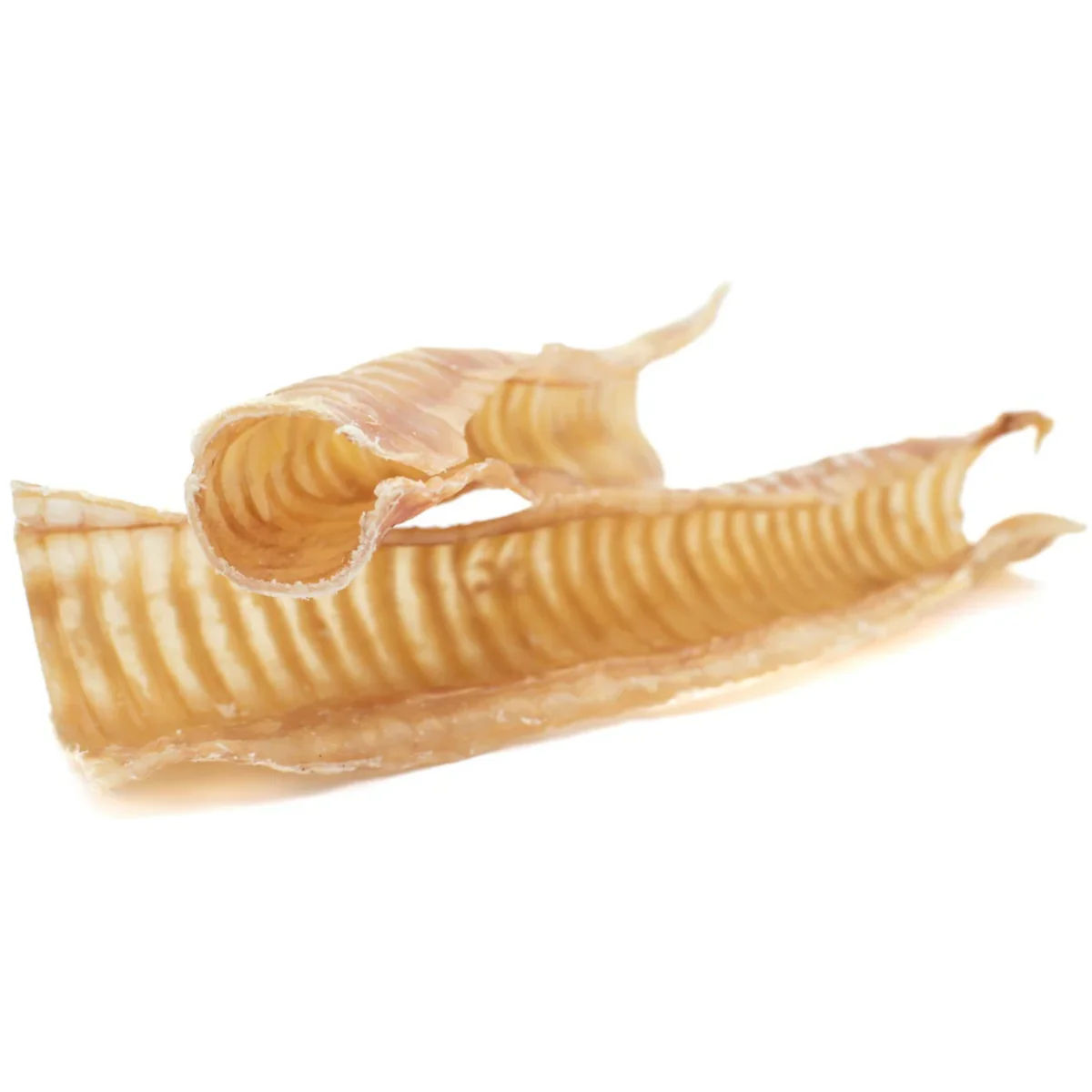 12 Inch Beef Trachea - Image 4