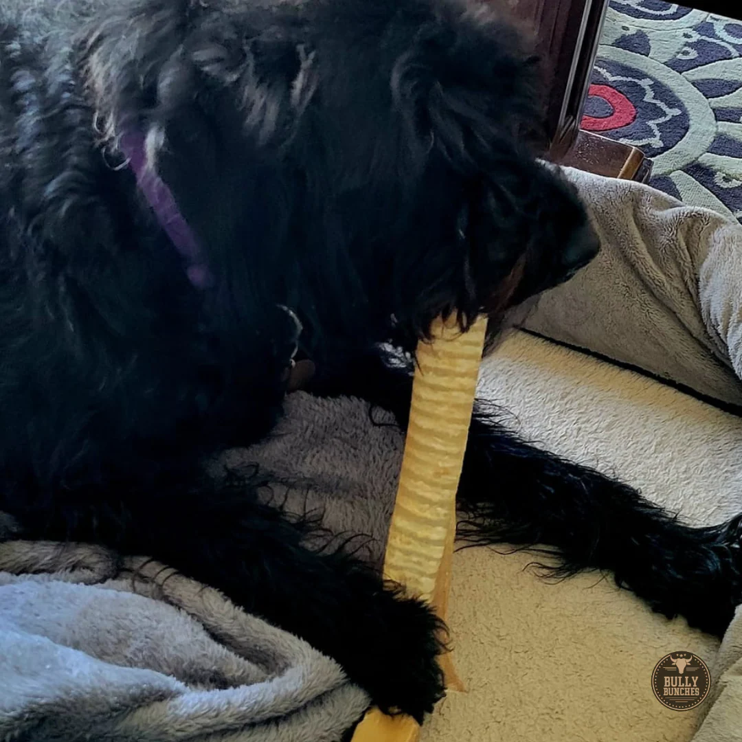 12 Inch Beef Trachea - Image 6