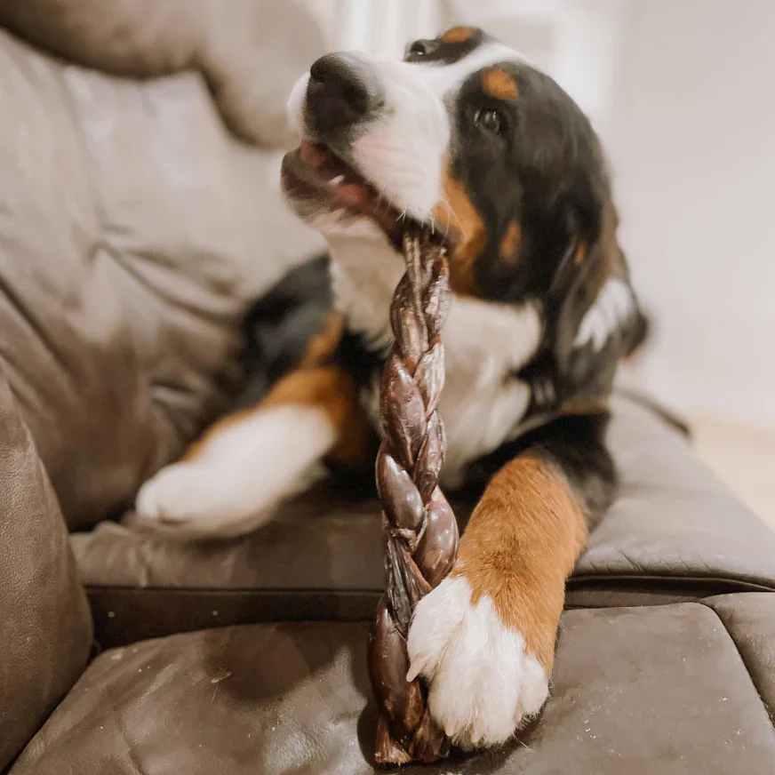 12 Inch Braided Jerky Stick - Image 3