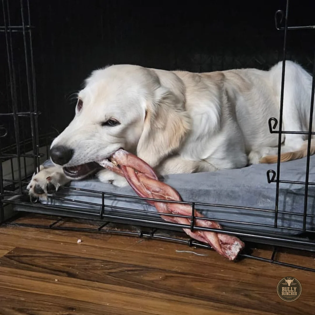 12 Inch Monster Braided Bully Stick - Image 3