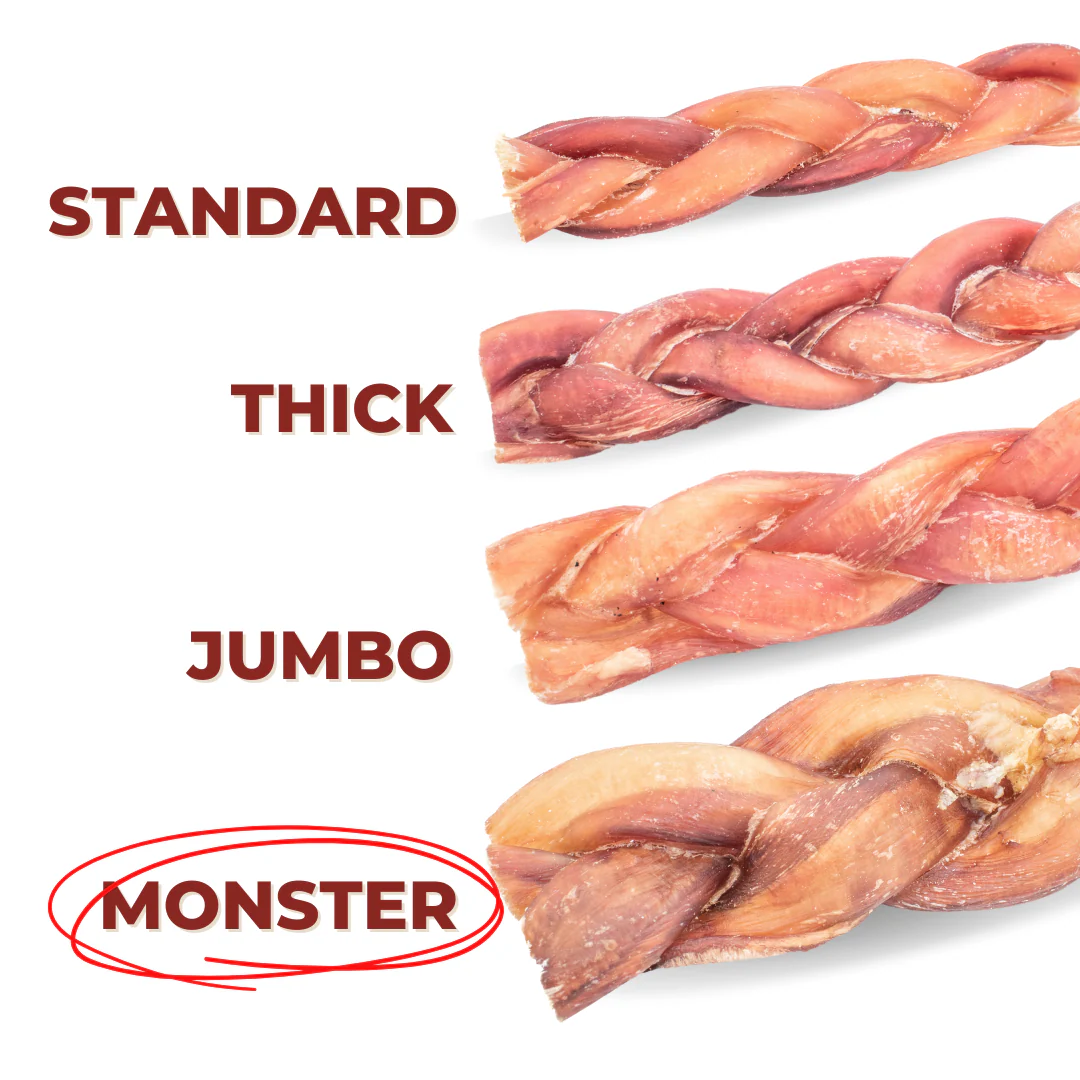 12 Inch Monster Braided Bully Stick - Image 4