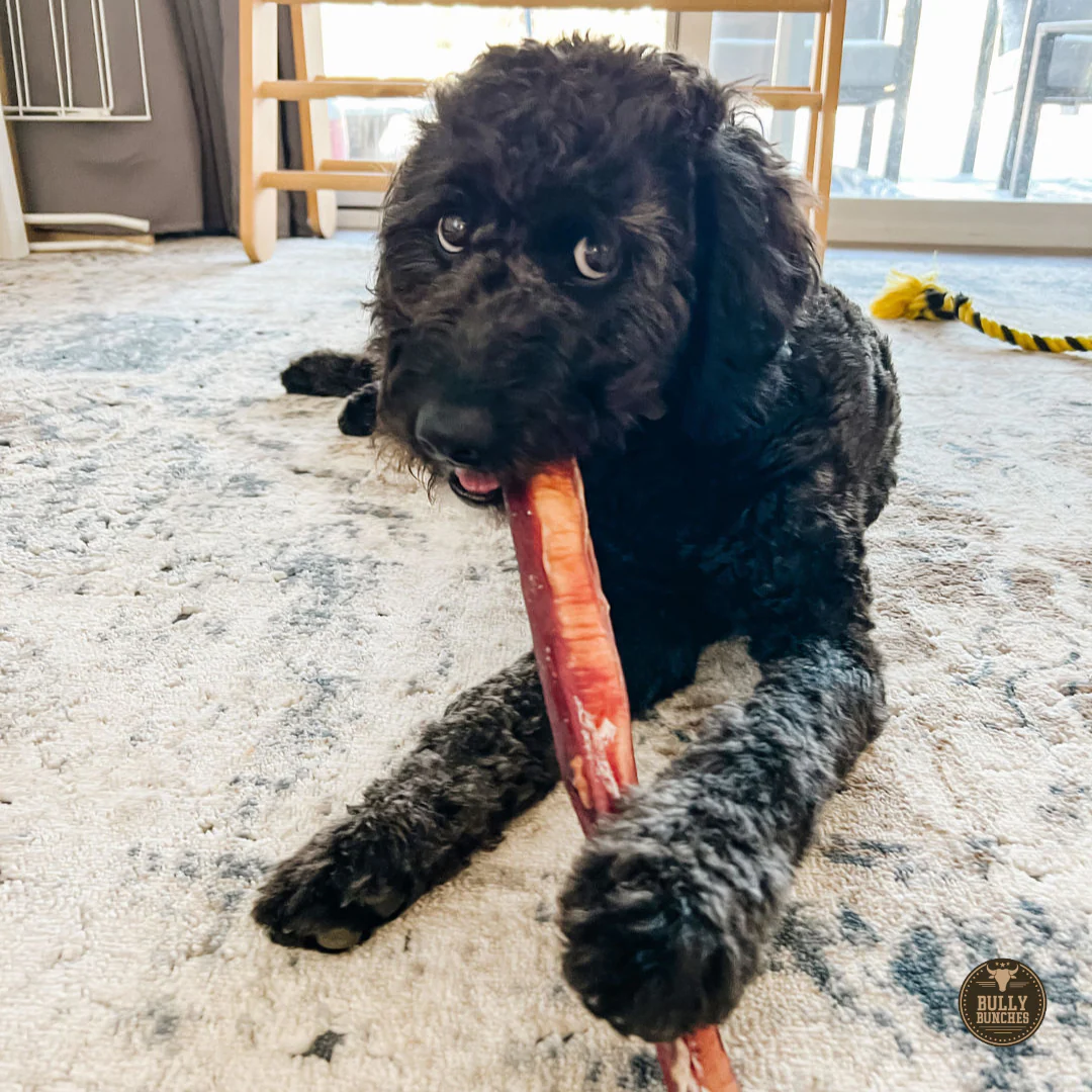 12 Inch Monster Bully Stick - Image 5