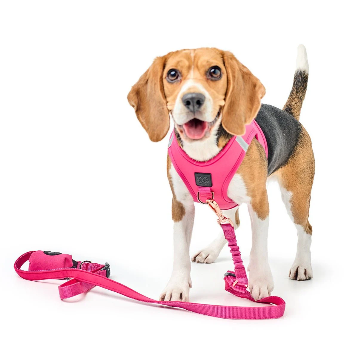 3-in-1 City Dog Leash - Park Ave Pink - Image 2