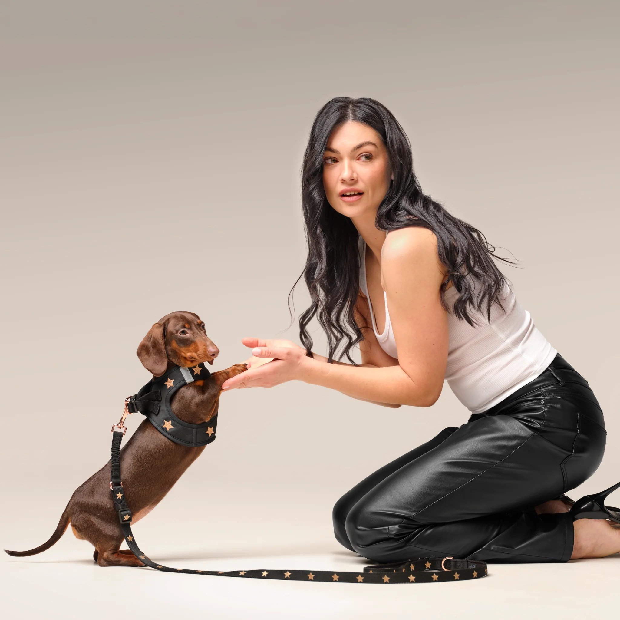 3-in-1 City Dog Leash - Rockstar - Image 5