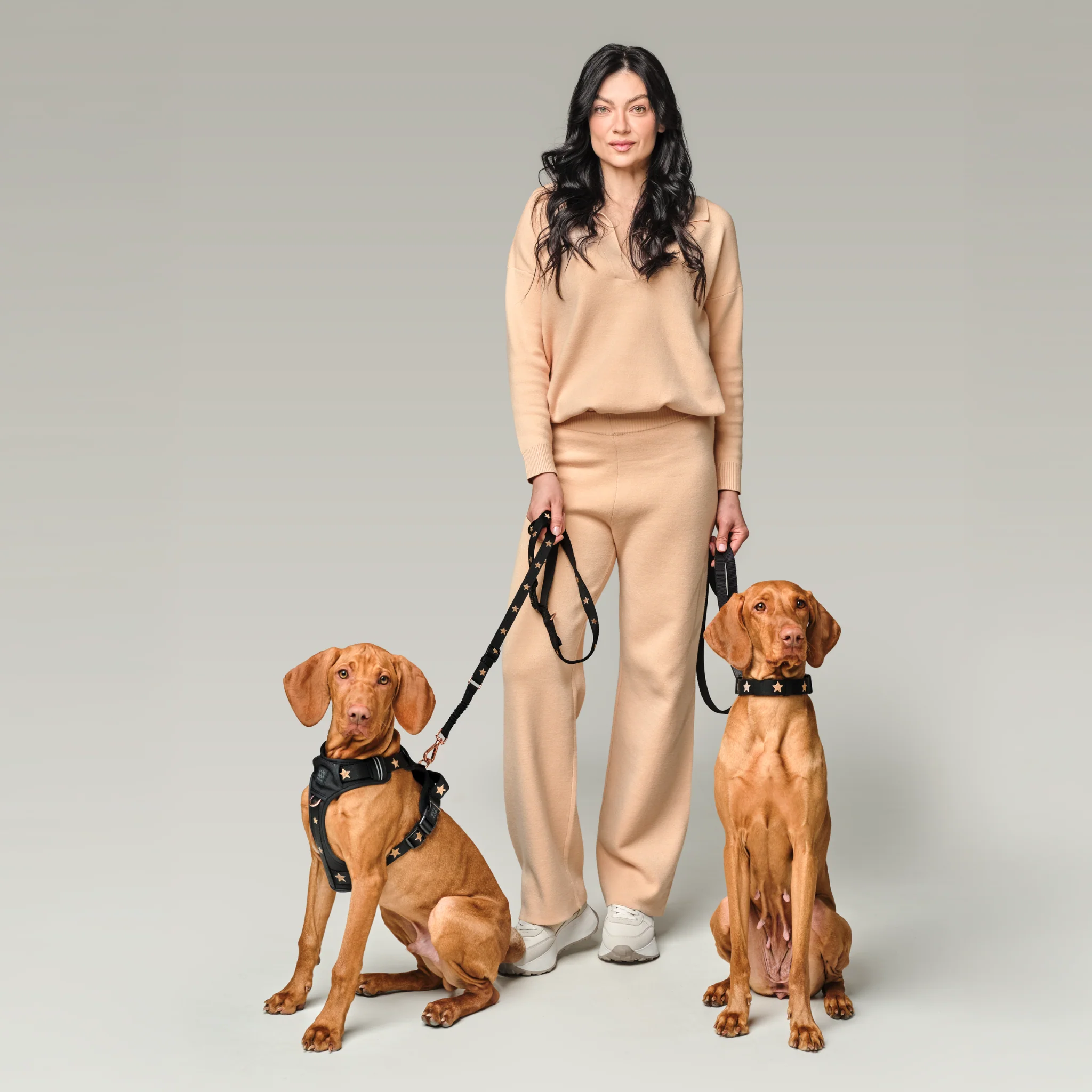 3-in-1 City Dog Leash - Rockstar - Image 6