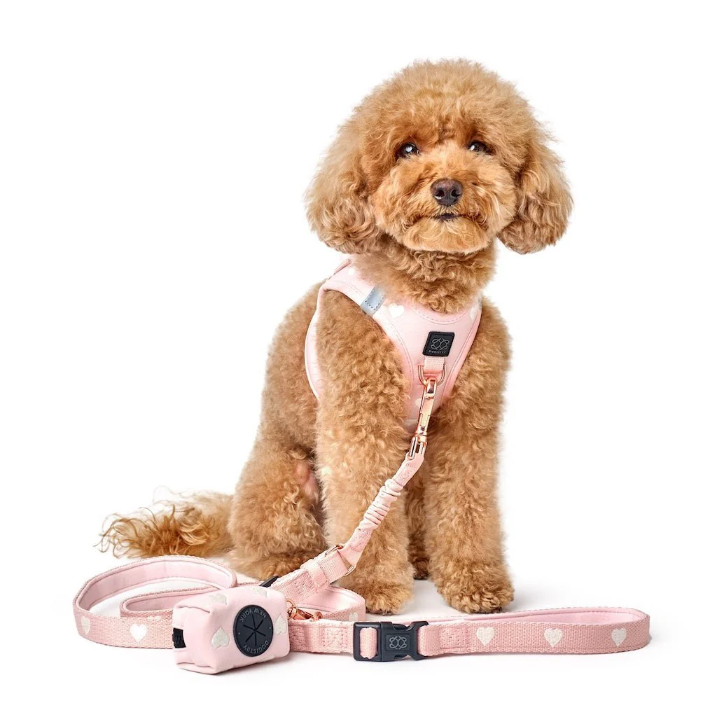 3-in-1 City Dog Leash - Sweetheart - Image 2