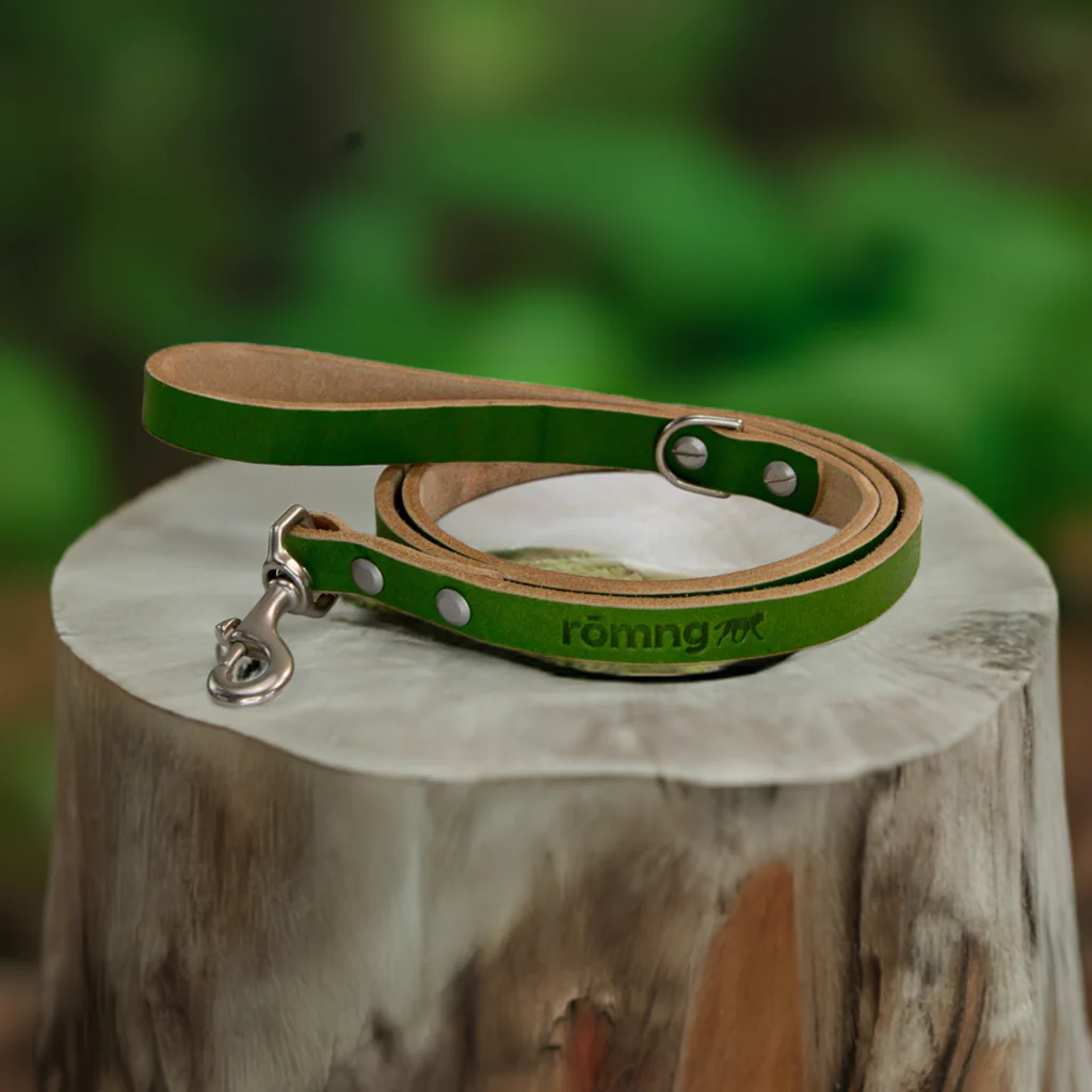 handmade leather dog leash - Image 2