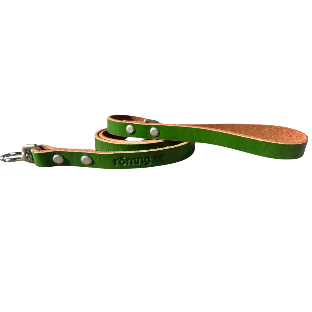 handmade leather dog leash - Image 23
