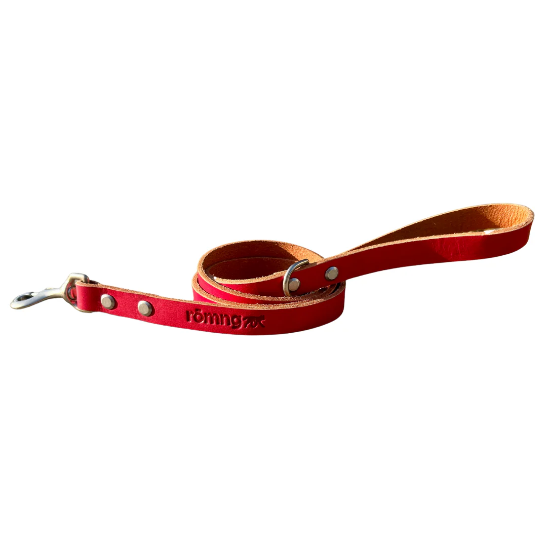 handmade leather dog leash - Image 28