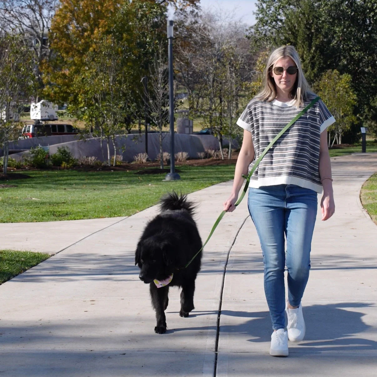 4x1 Waterproof Hands Free Dog Leash - Image 2
