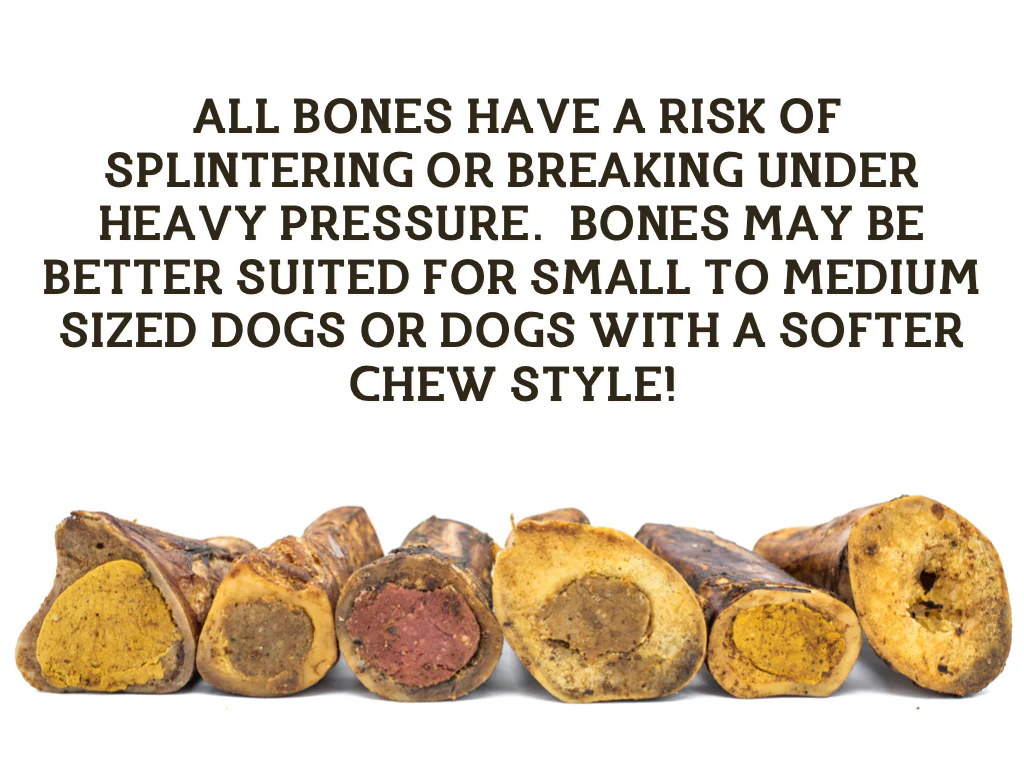 5-6 Inch Marrow Bone - Image 4
