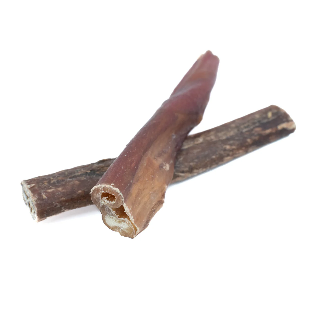 5-6 Inch Champion Chew - Image 2