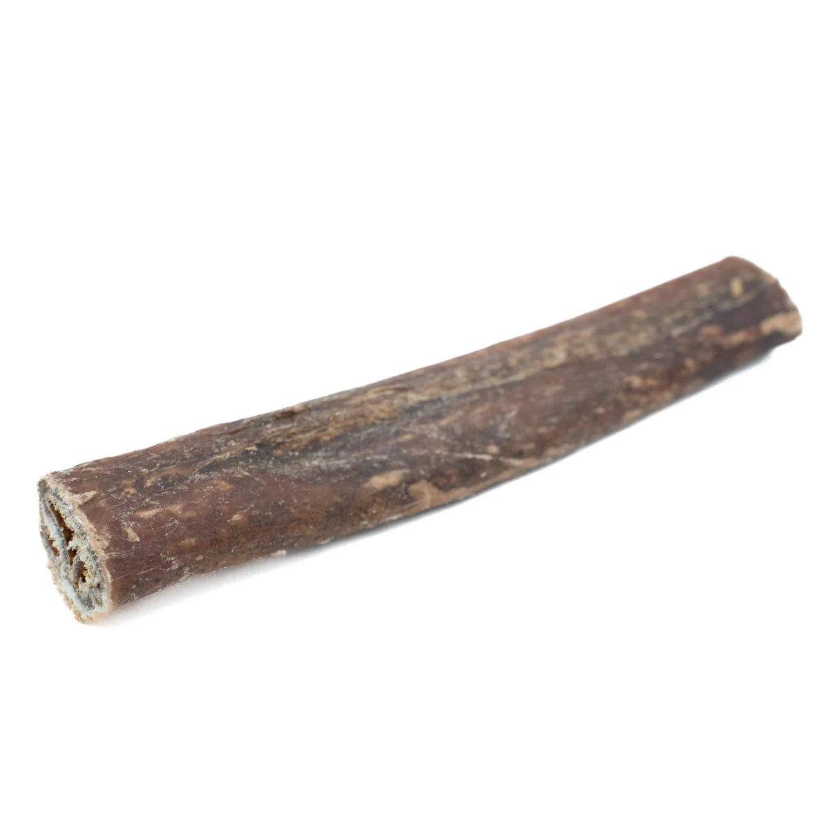 5-6 Inch Champion Chew - Image 5