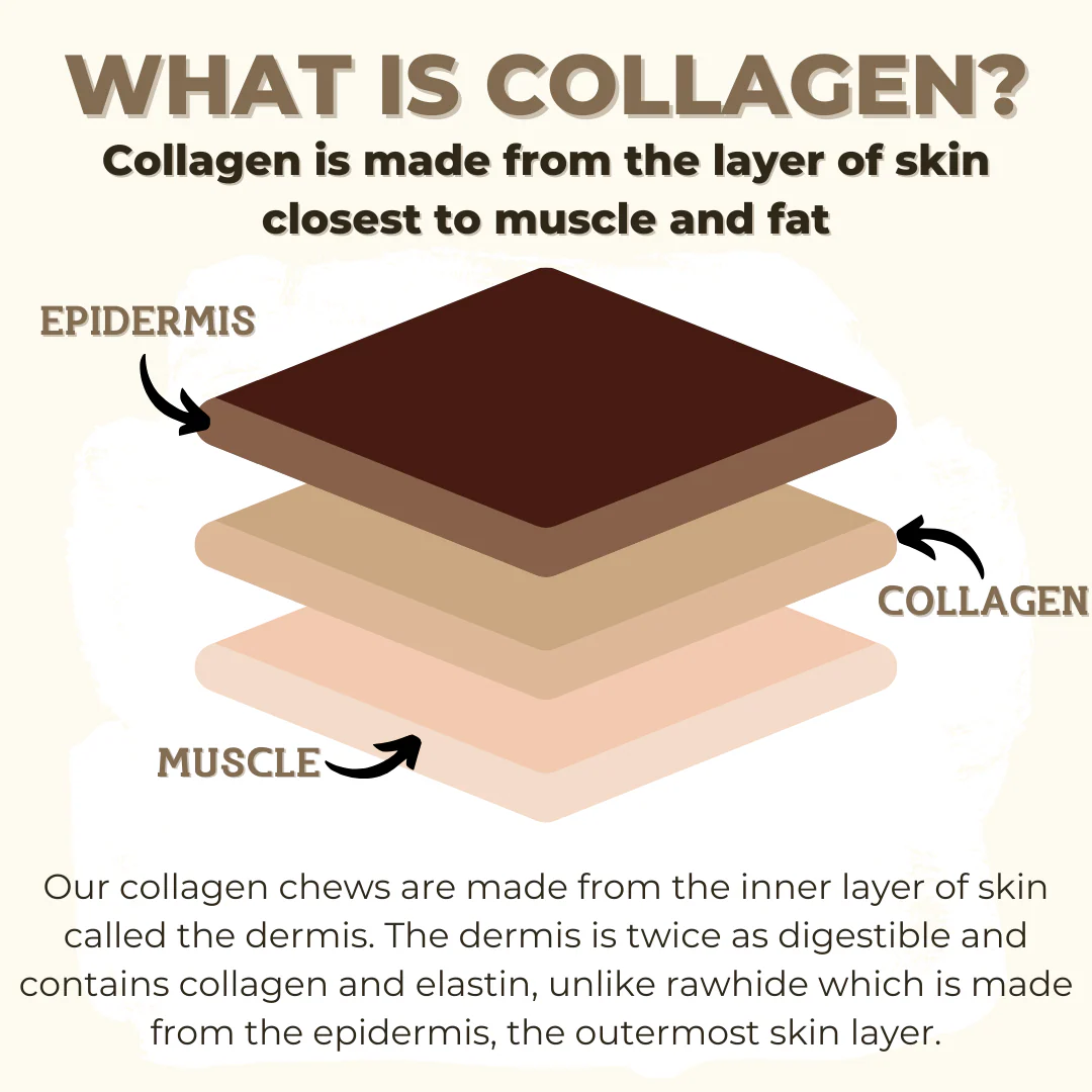 5-6 Inch Collagen Stick - Image 5
