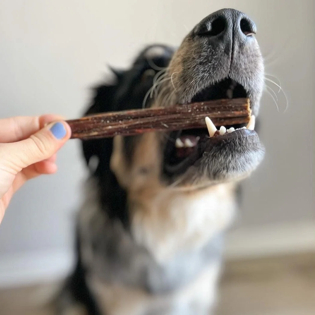 6 Inch Beef Jerky Stick - Image 3