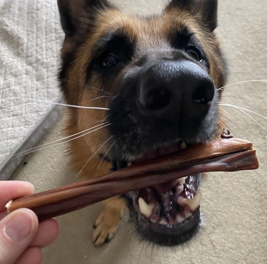 6 Inch Beef Jerky Stick - Image 5