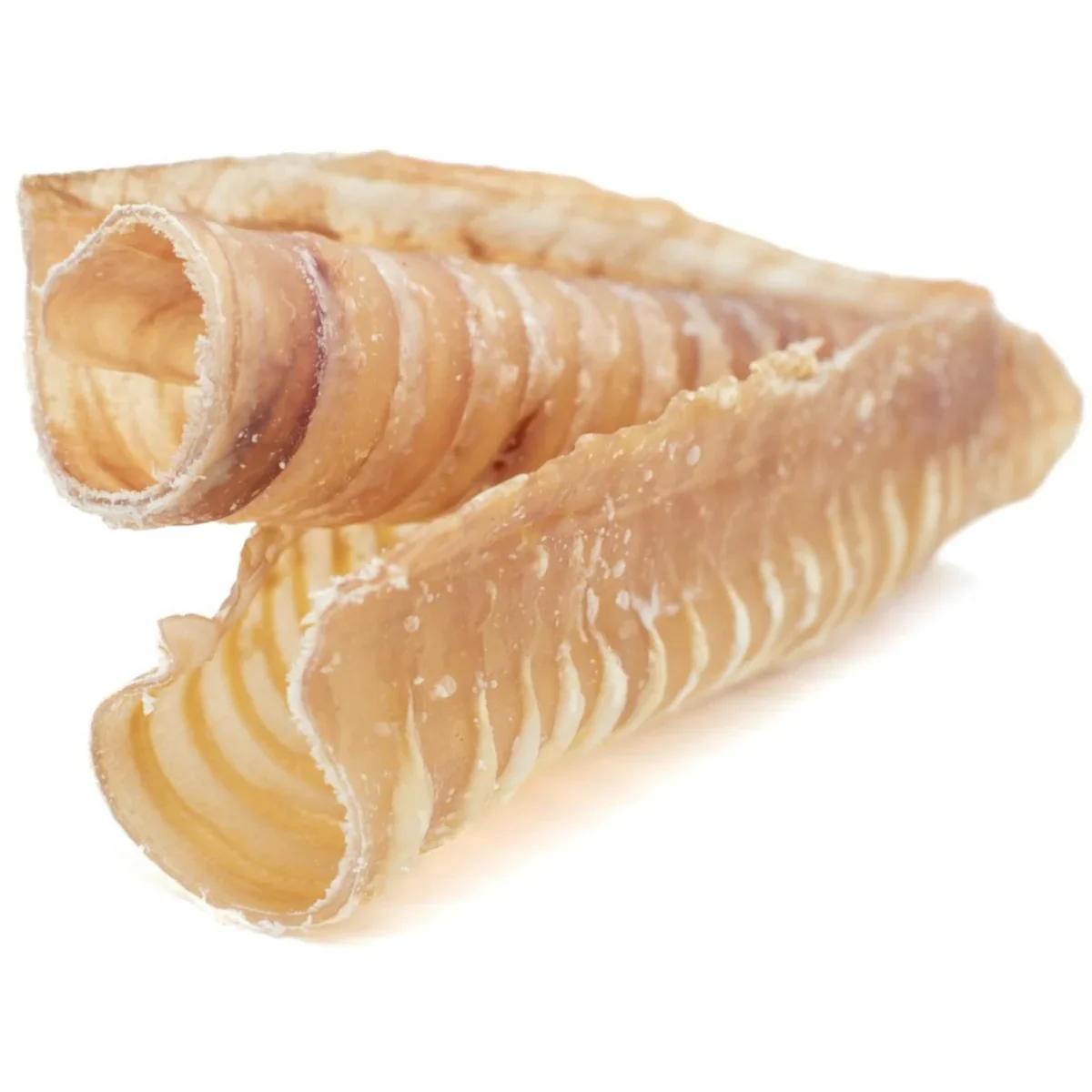 6 Inch Beef Trachea - Image 4