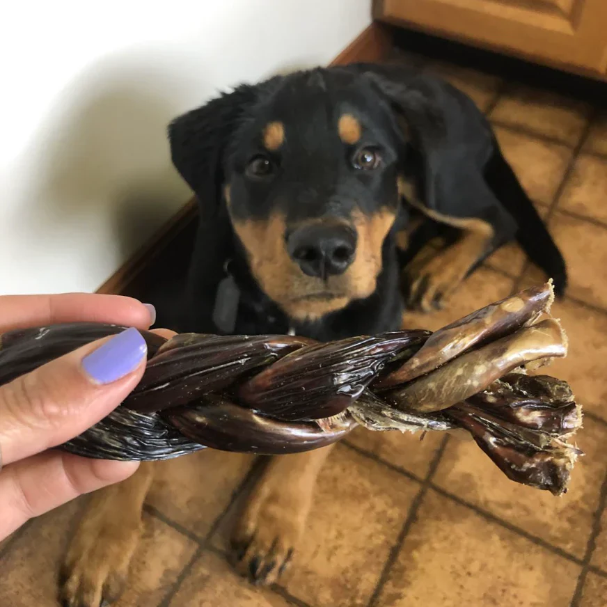 6 Inch Braided Jerky Stick - Image 3
