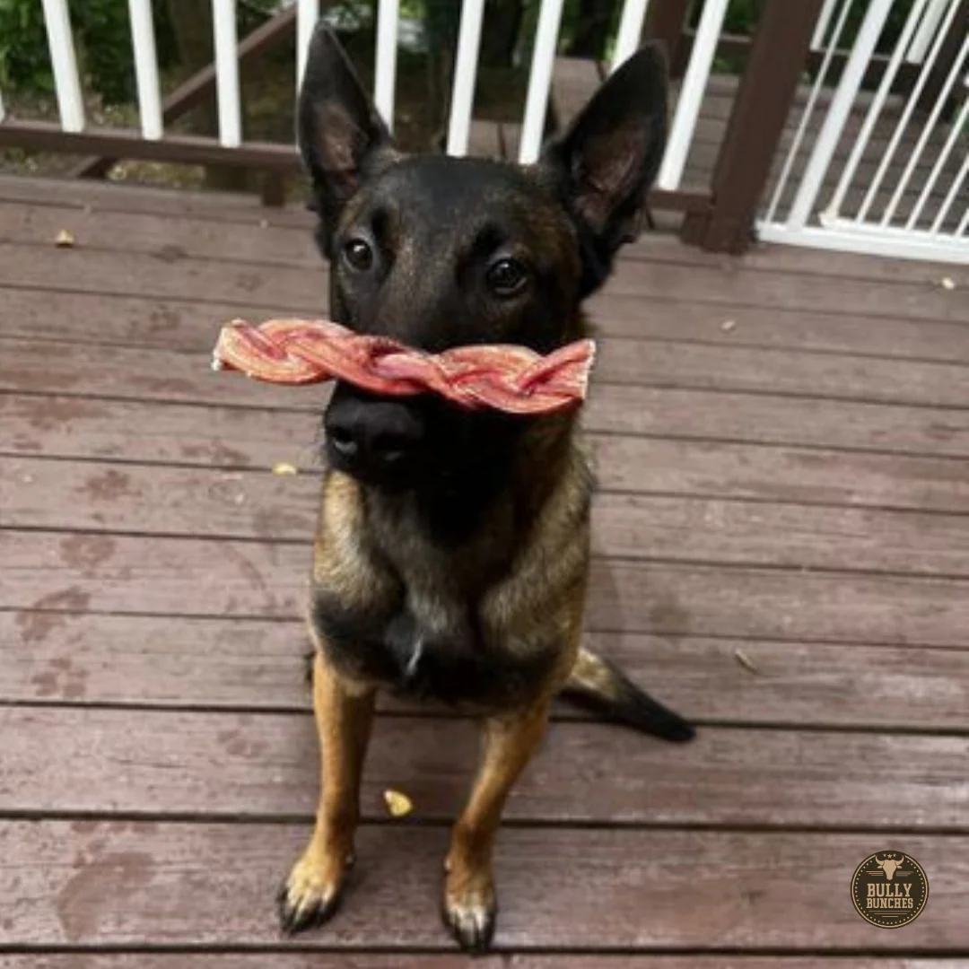 6 Inch Monster Braided Bully Stick - Image 3