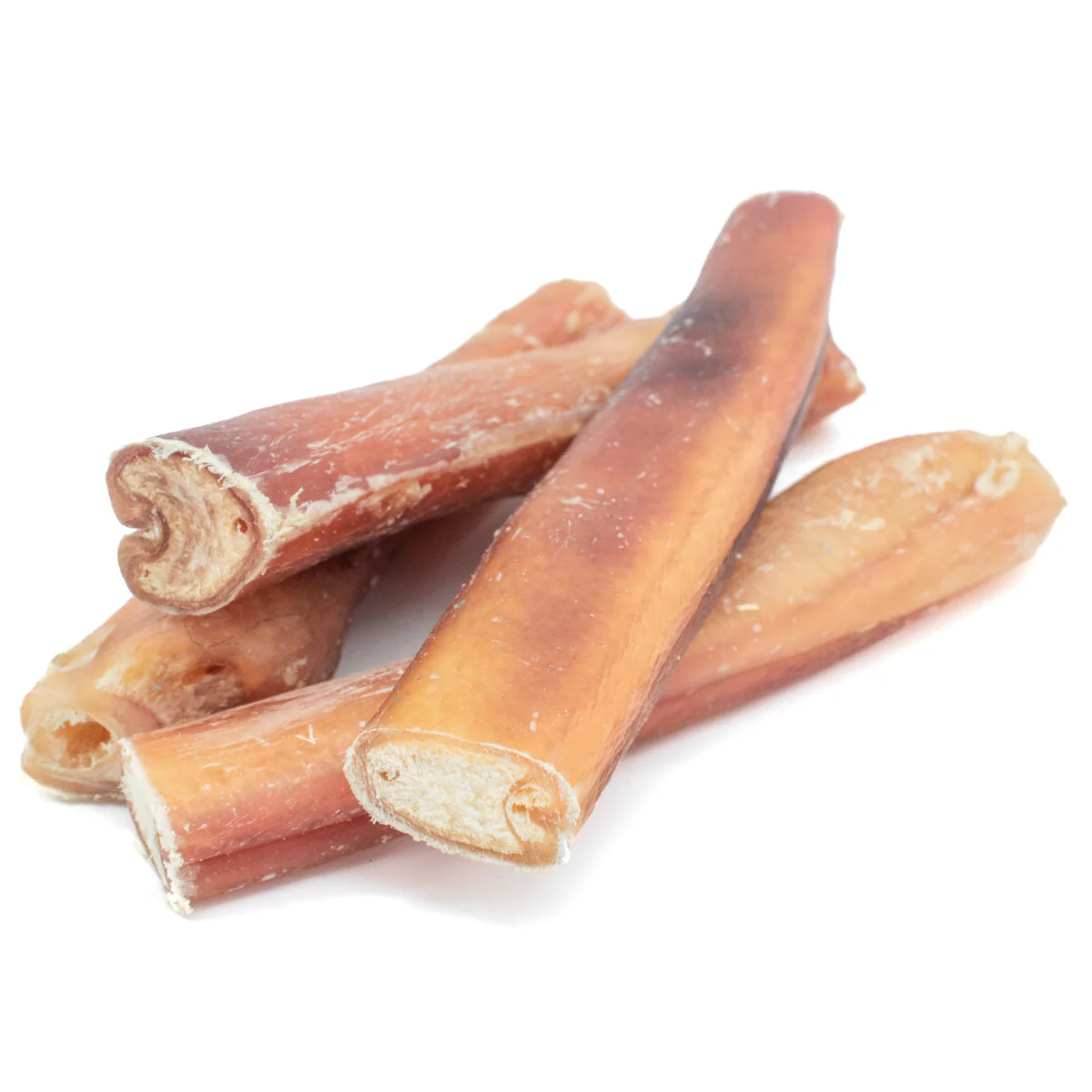 6 Inch Monster Bully Stick - Image 2