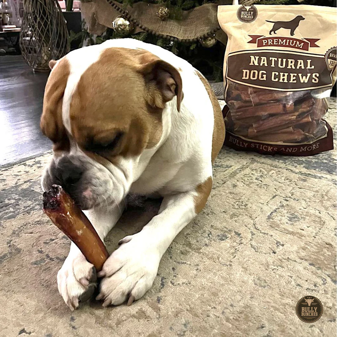 6 Inch Monster Bully Stick - Image 3
