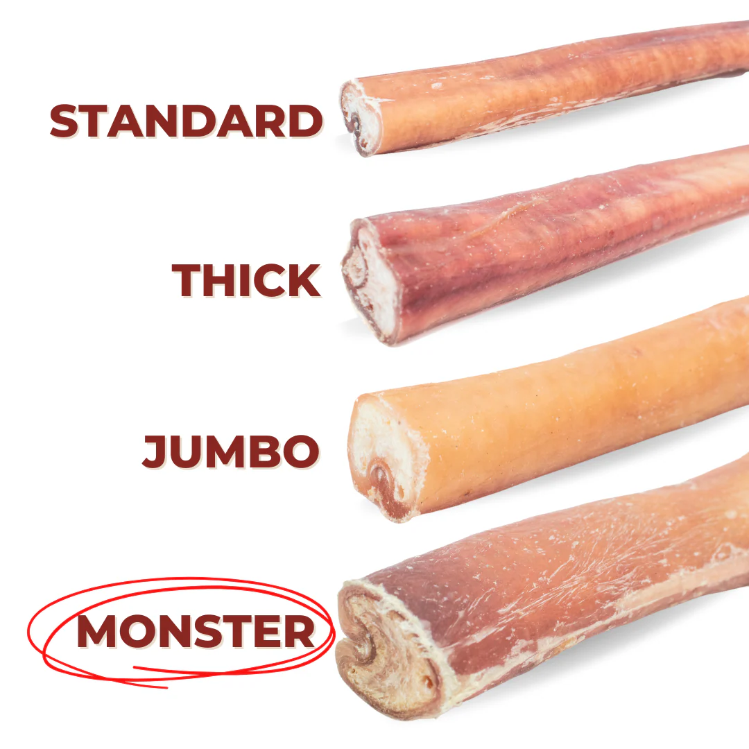 6 Inch Monster Bully Stick - Image 4