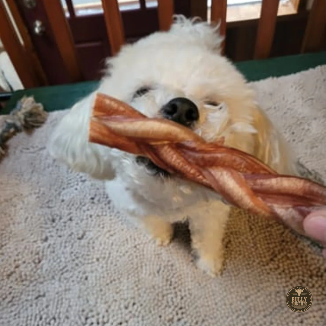 6 Inch Standard Braided Bully Stick - Image 5
