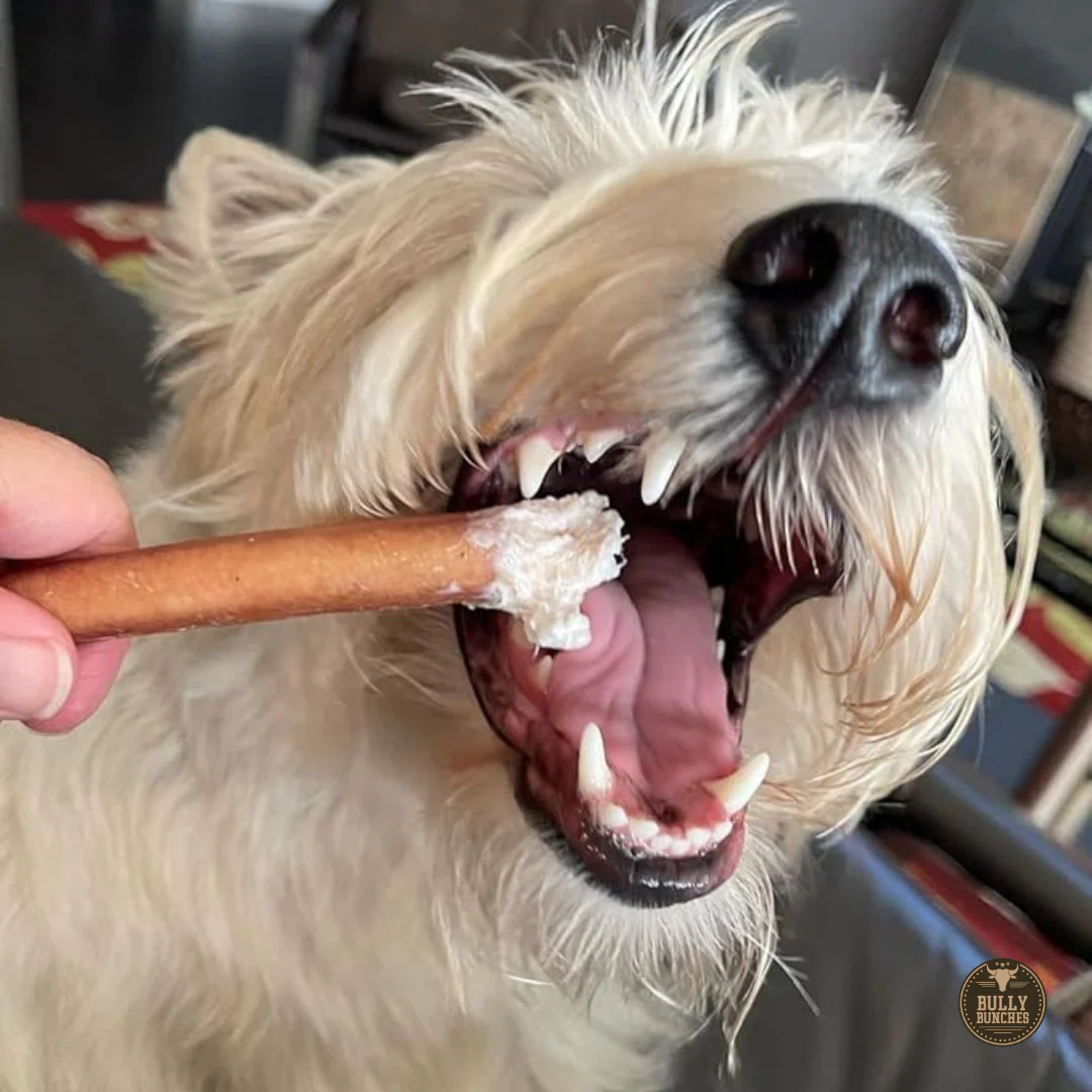 6 Inch Standard Bully Stick - Image 3