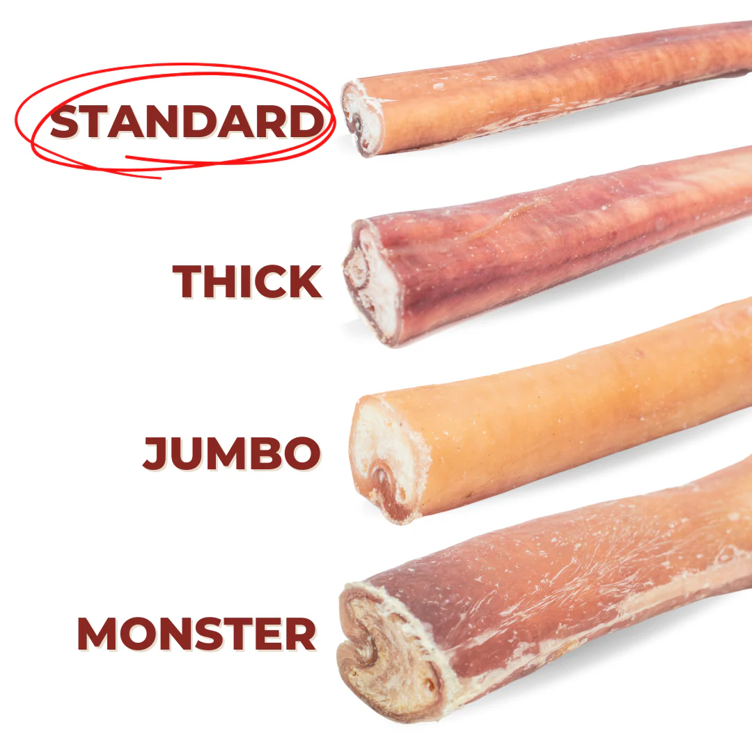6 Inch Standard Bully Stick - Image 4