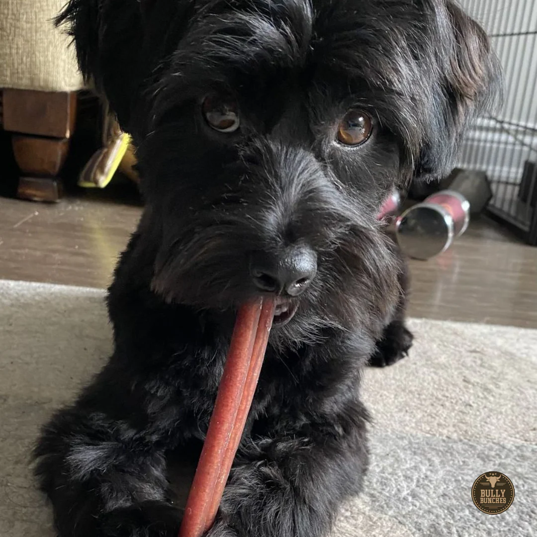 6 Inch Standard Bully Stick - Image 8