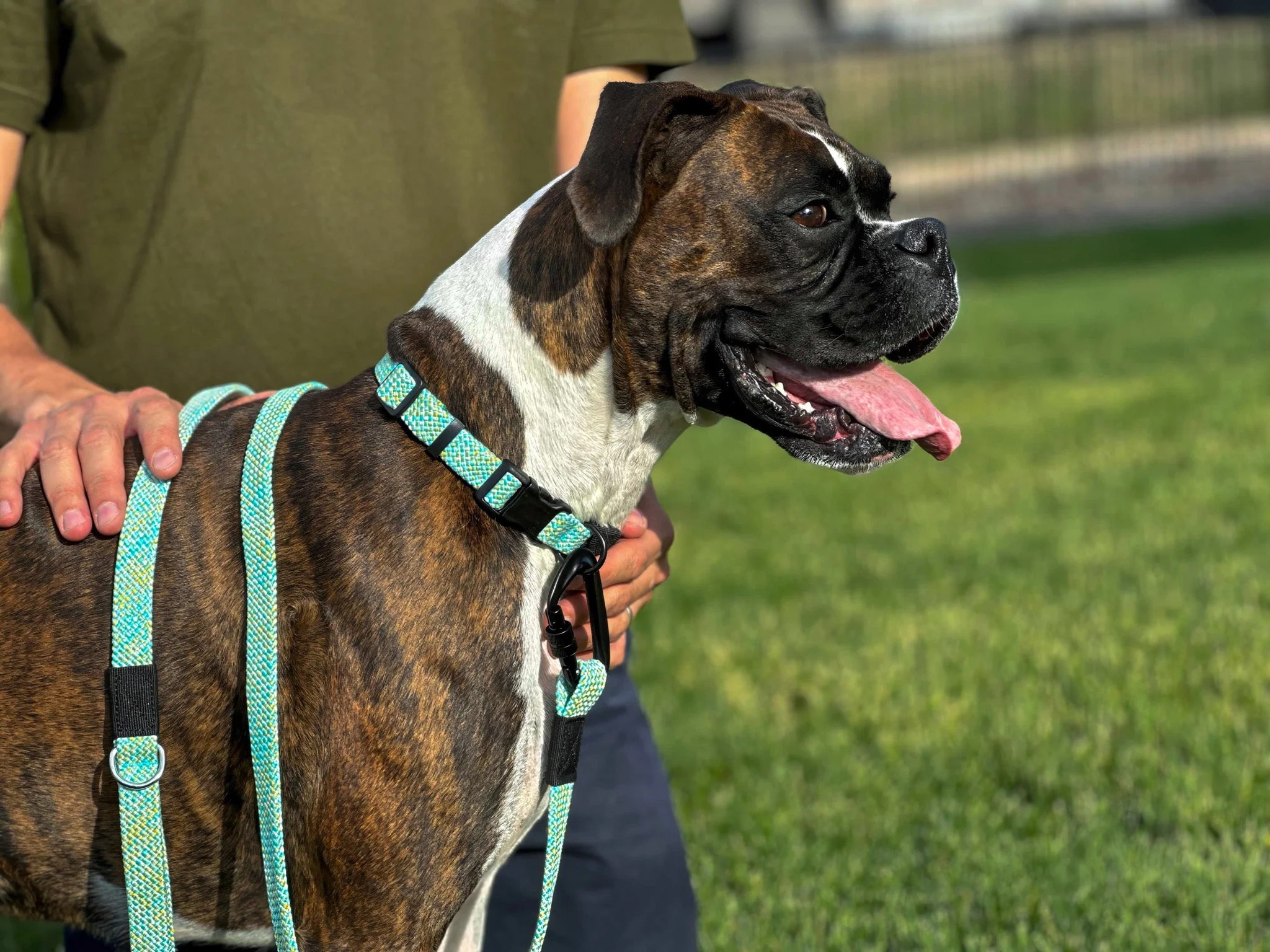 Adventure Style Flat Weave Mountain Wave Climbing Rope Dog Collar - Image 5