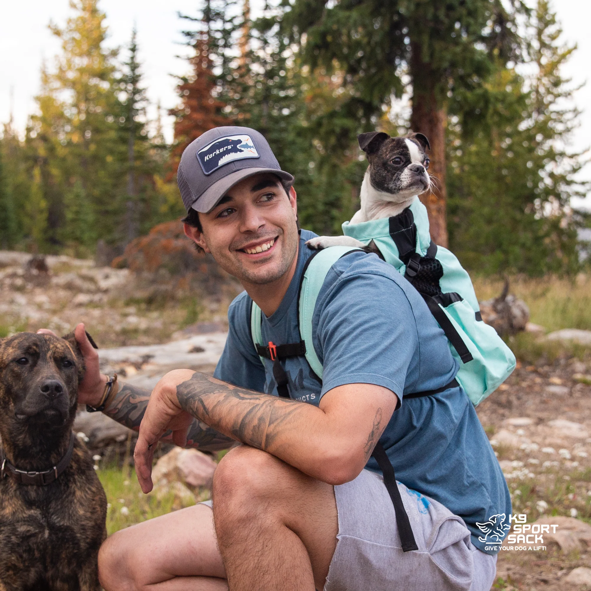 Air 2 | The Original Backpack Dog Carrier - Image 13