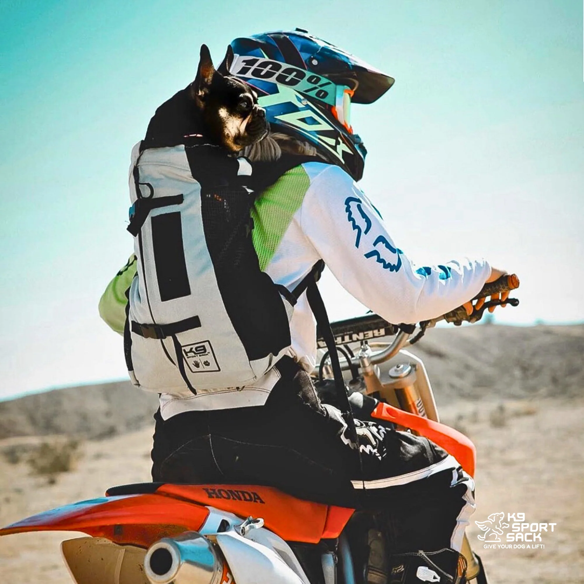 Air 2 | The Original Backpack Dog Carrier - Image 23