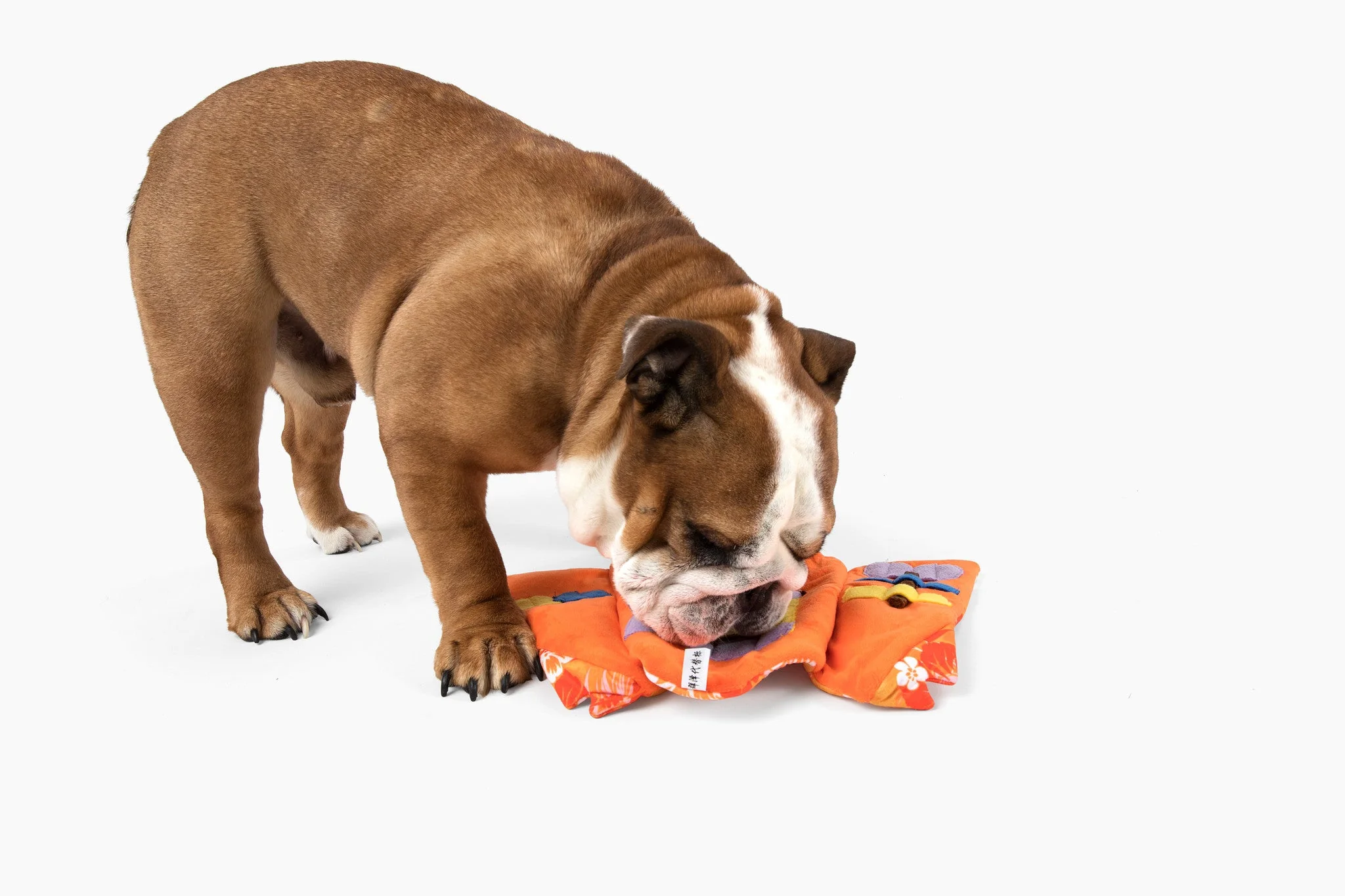 Aloha Nose Work Dog Toy - Image 2