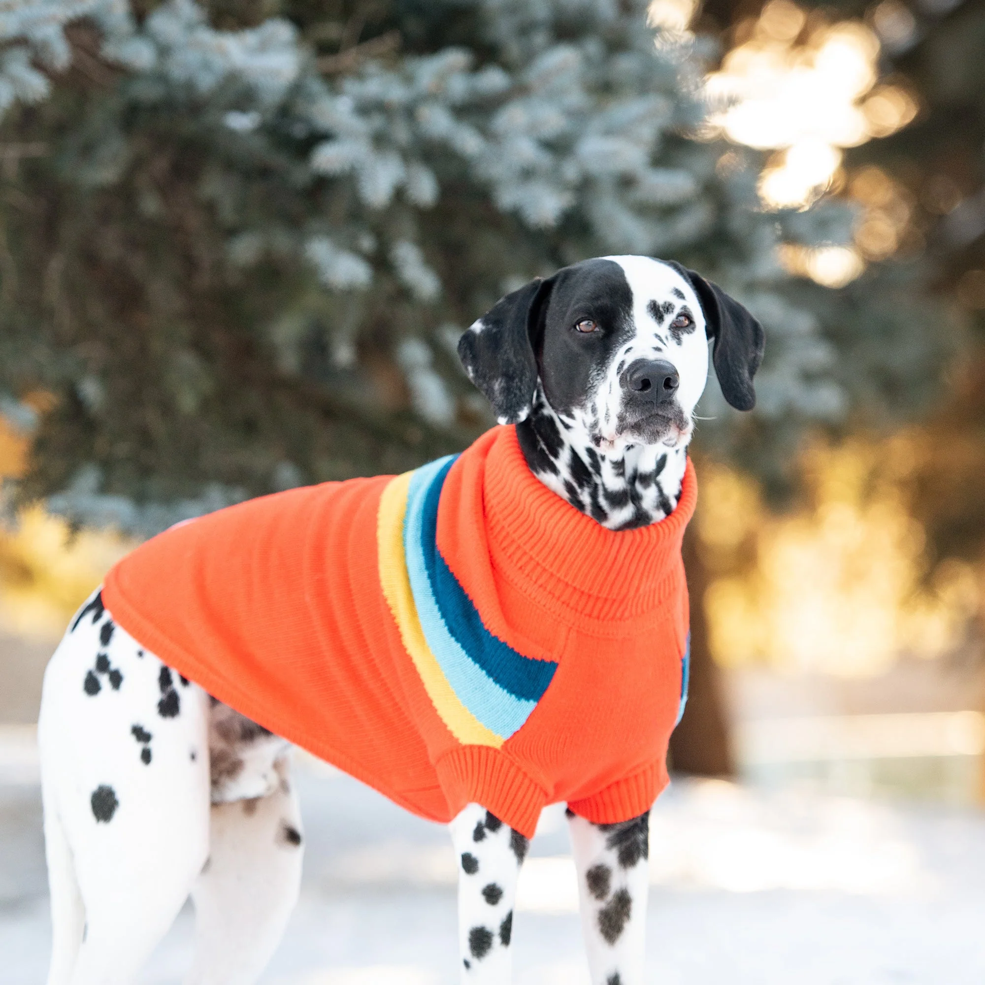 Alpine Sweater - Orange - Image 4