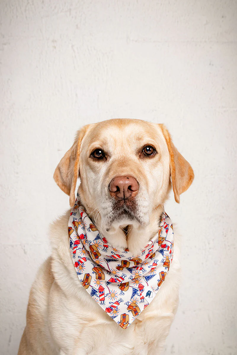 American Summer Dog Bandana - Image 6