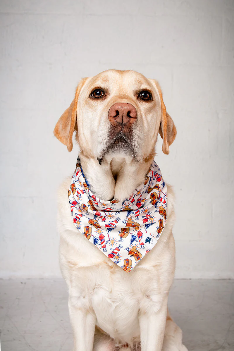 American Summer Dog Bandana - Image 7