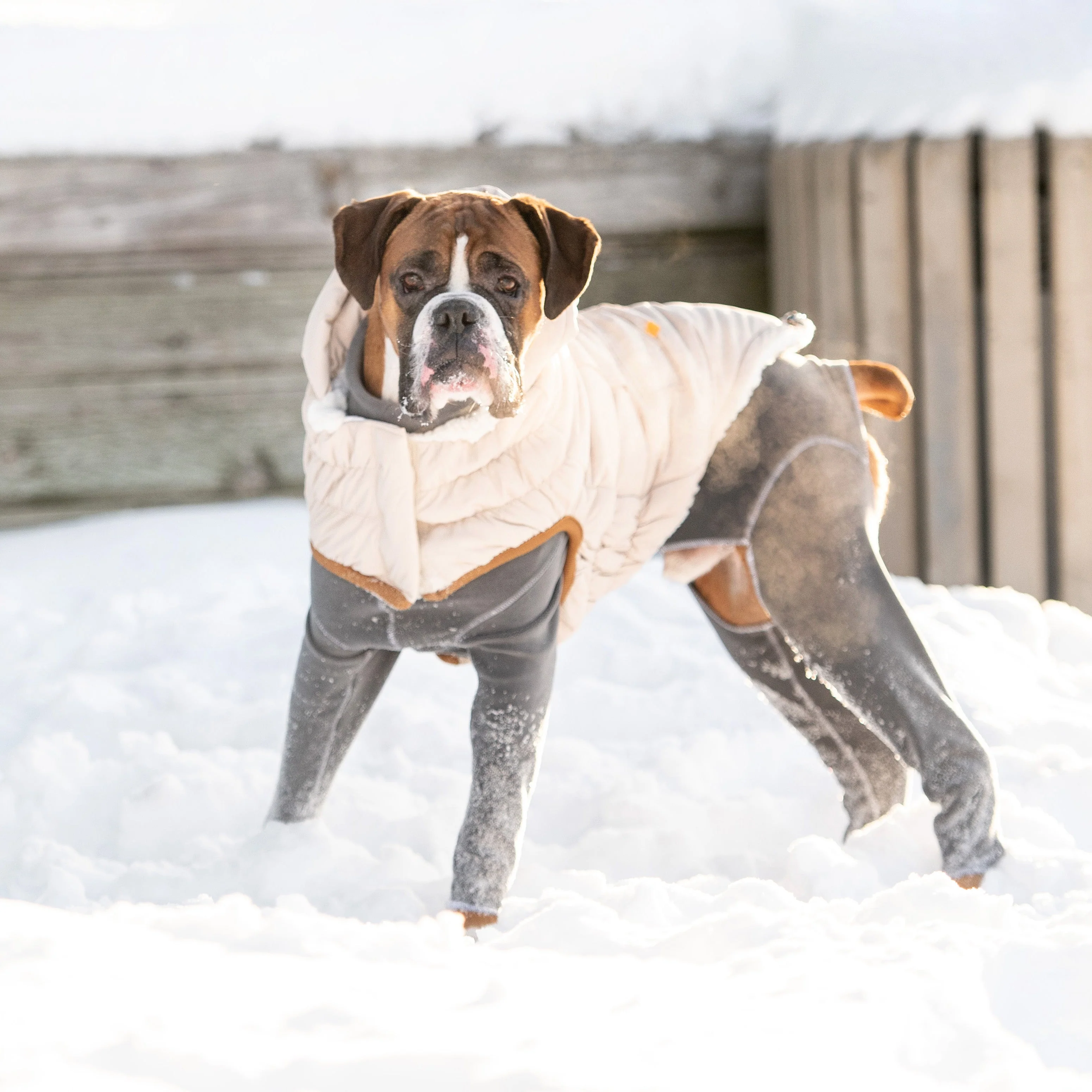 Arctic Parka - Sand - Image 5