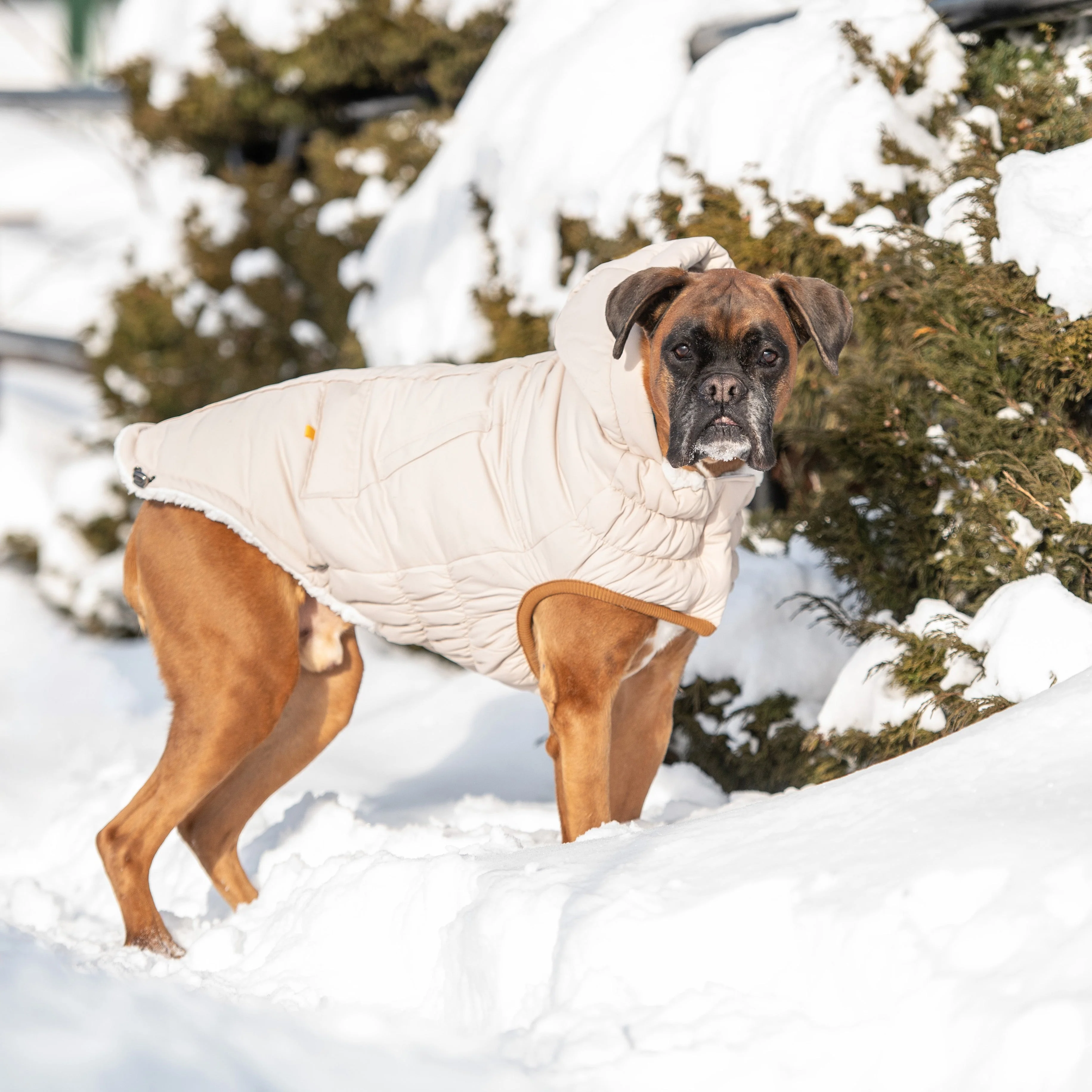 Arctic Parka - Sand - Image 6