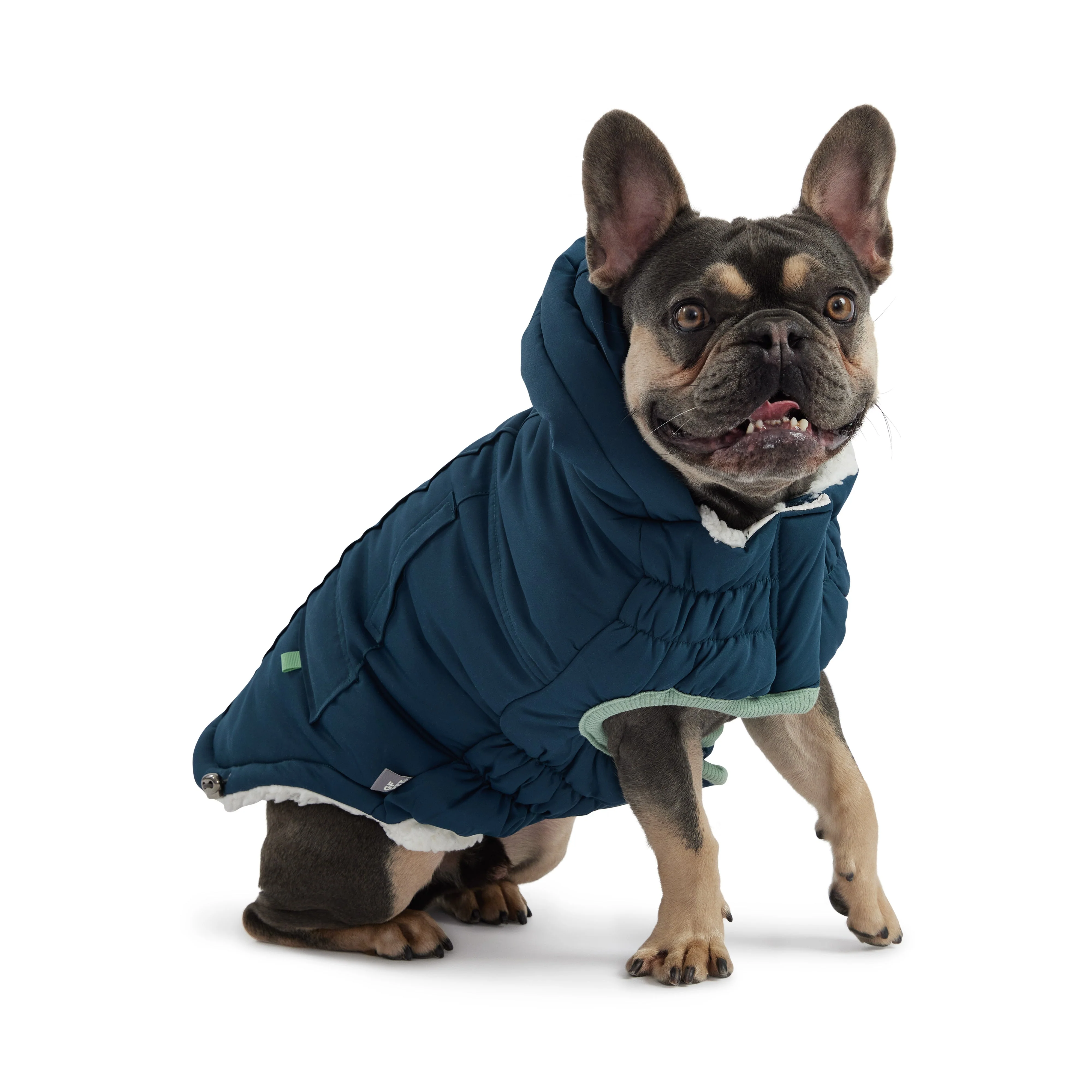 Arctic Parka - Teal - Image 2