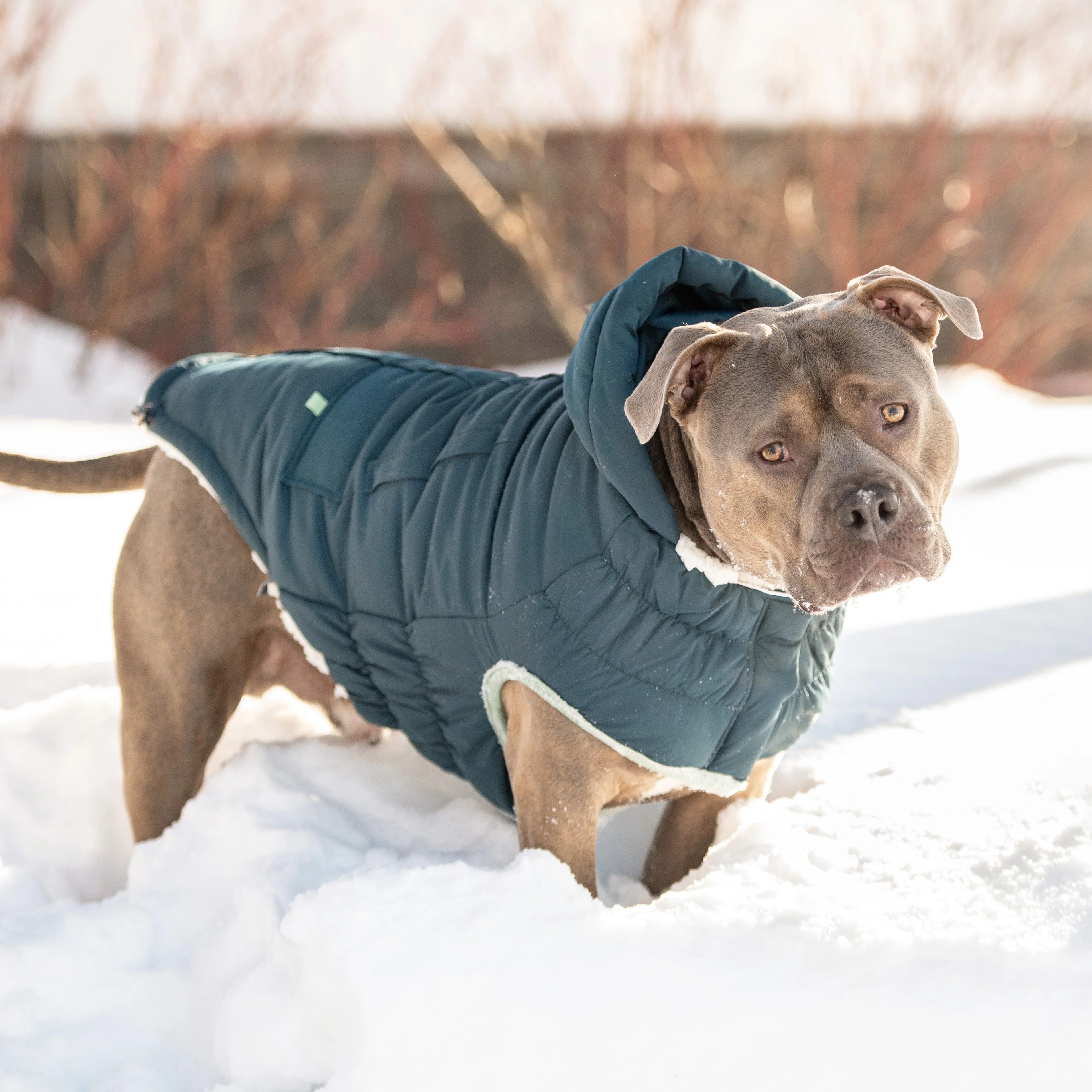Arctic Parka - Teal - Image 5