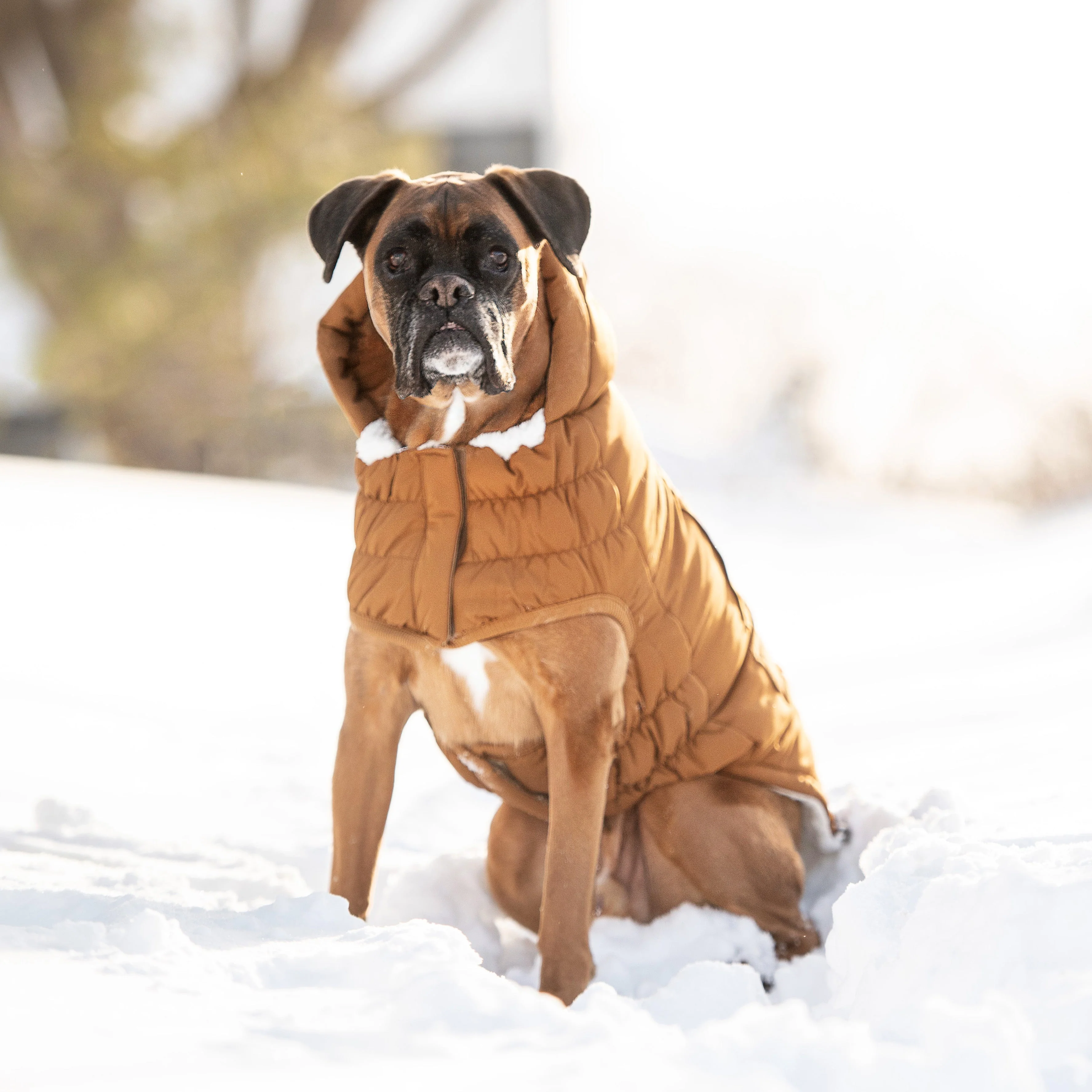 Arctic Parka - Wood - Image 5