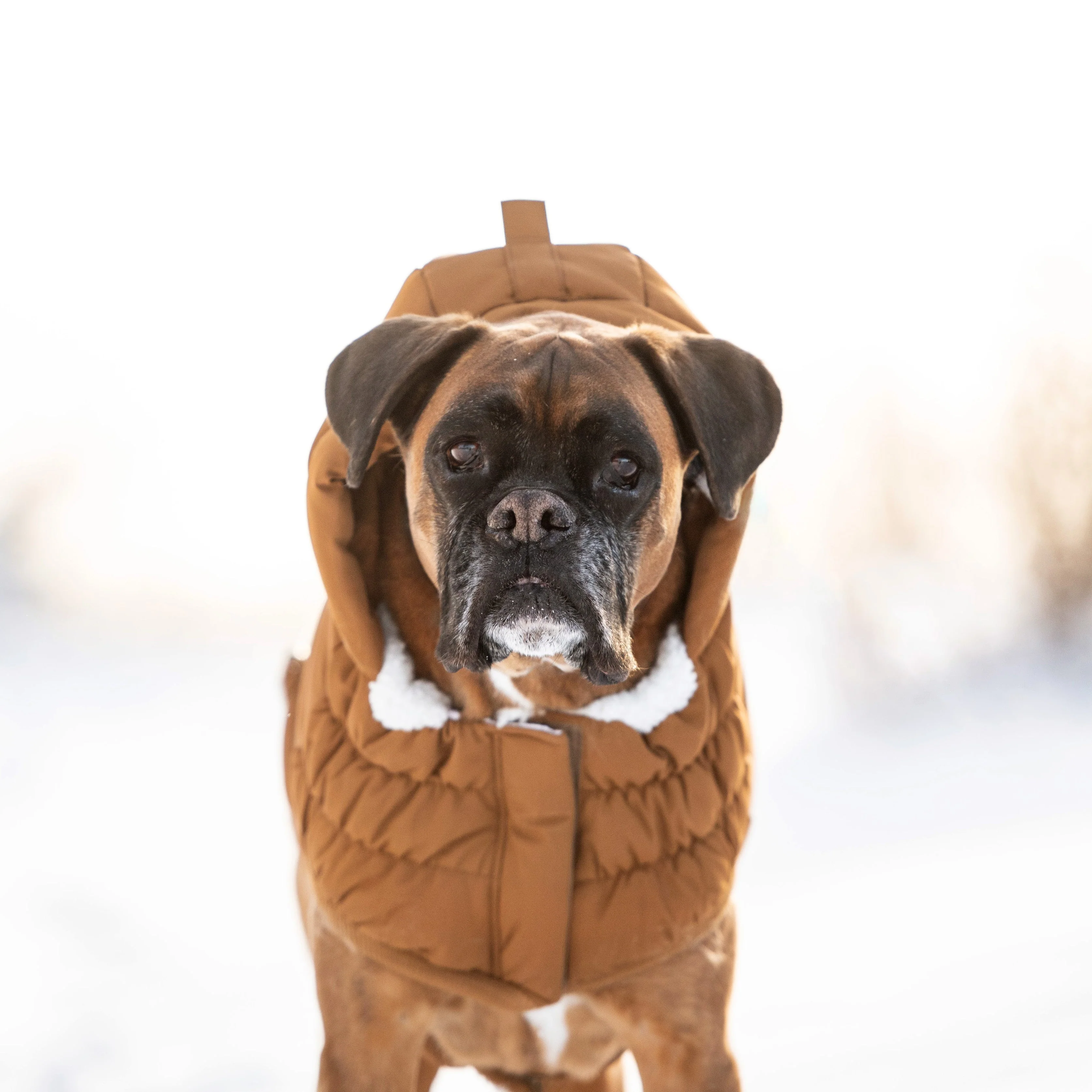 Arctic Parka - Wood - Image 6