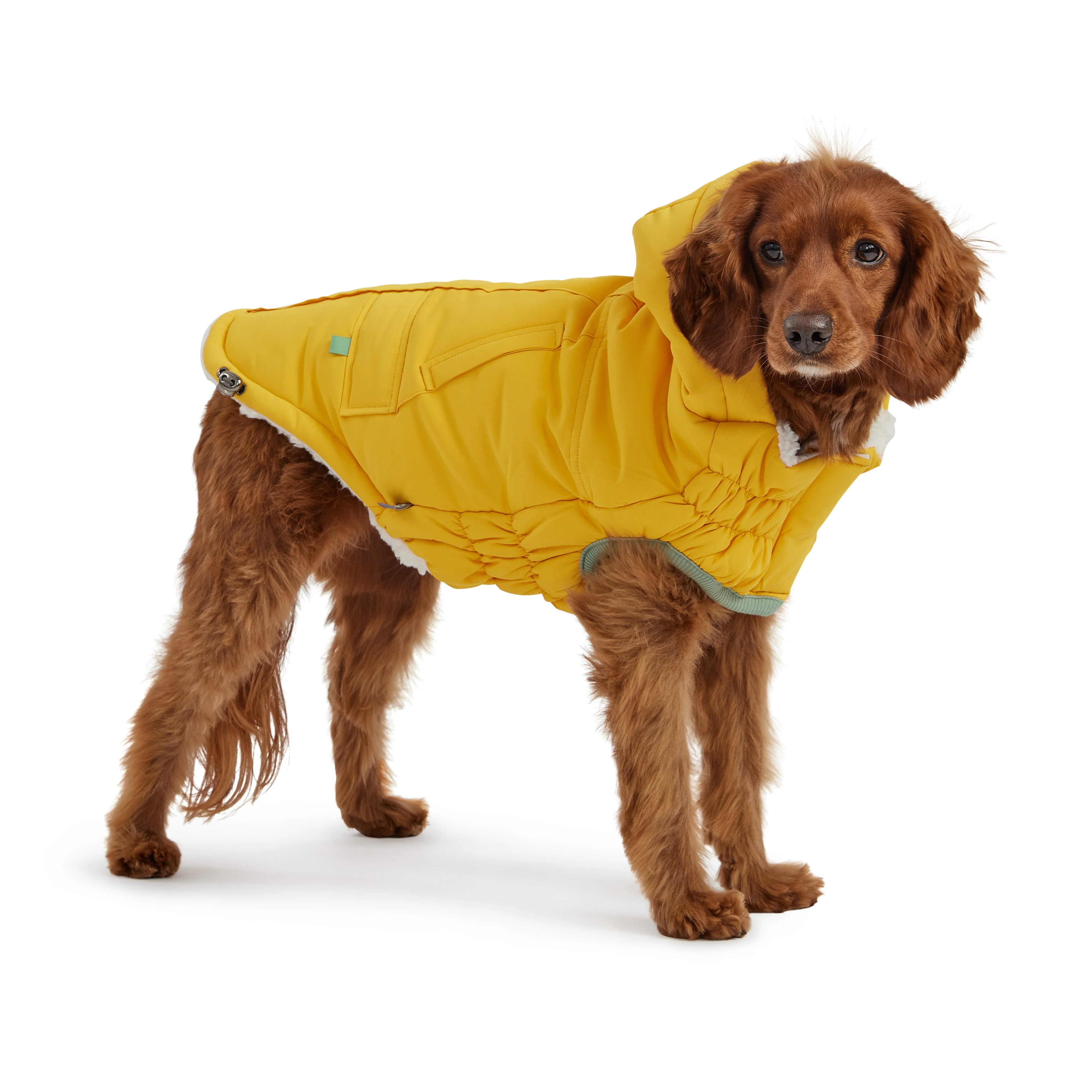 Arctic Parka - Yellow - Image 2