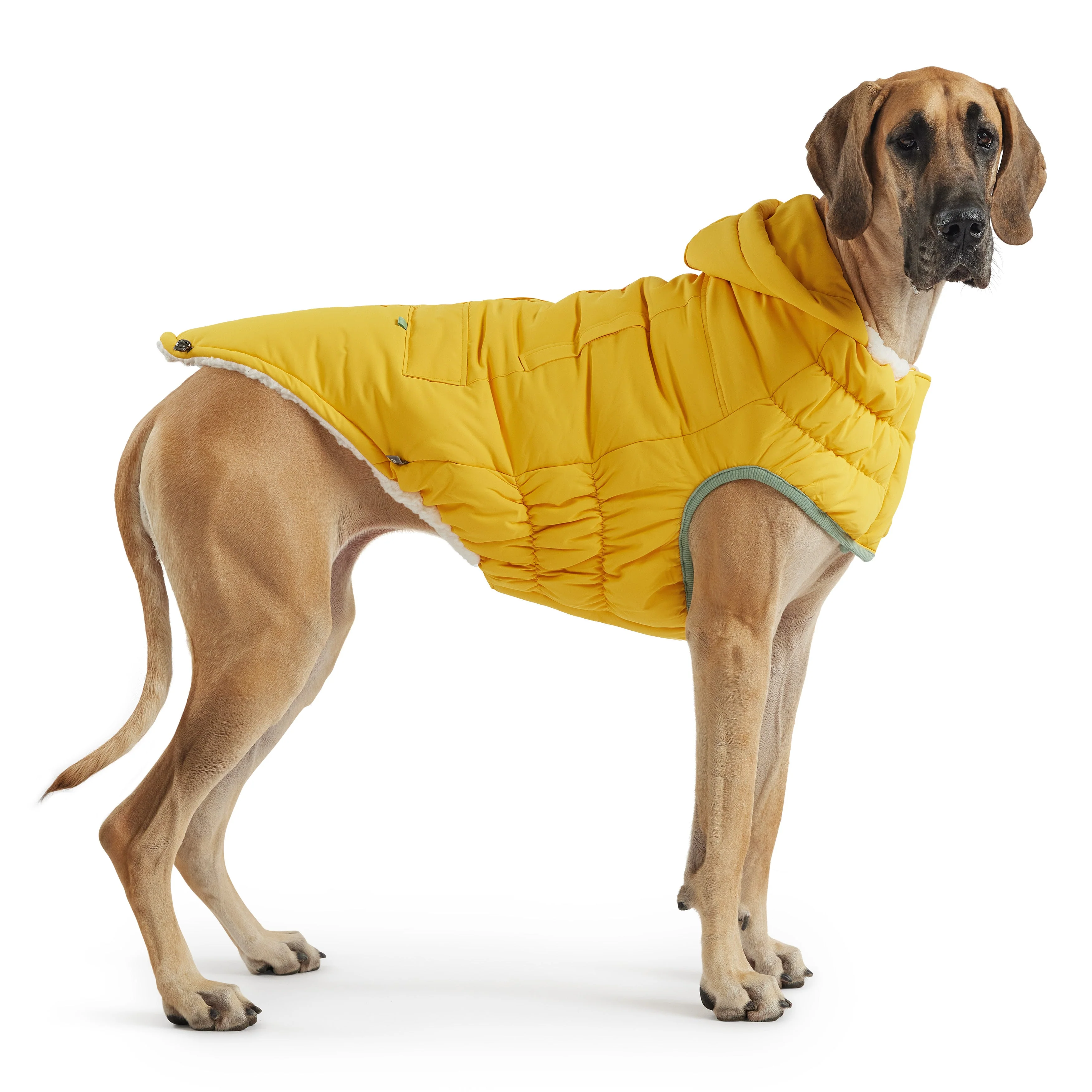Arctic Parka - Yellow - Image 4