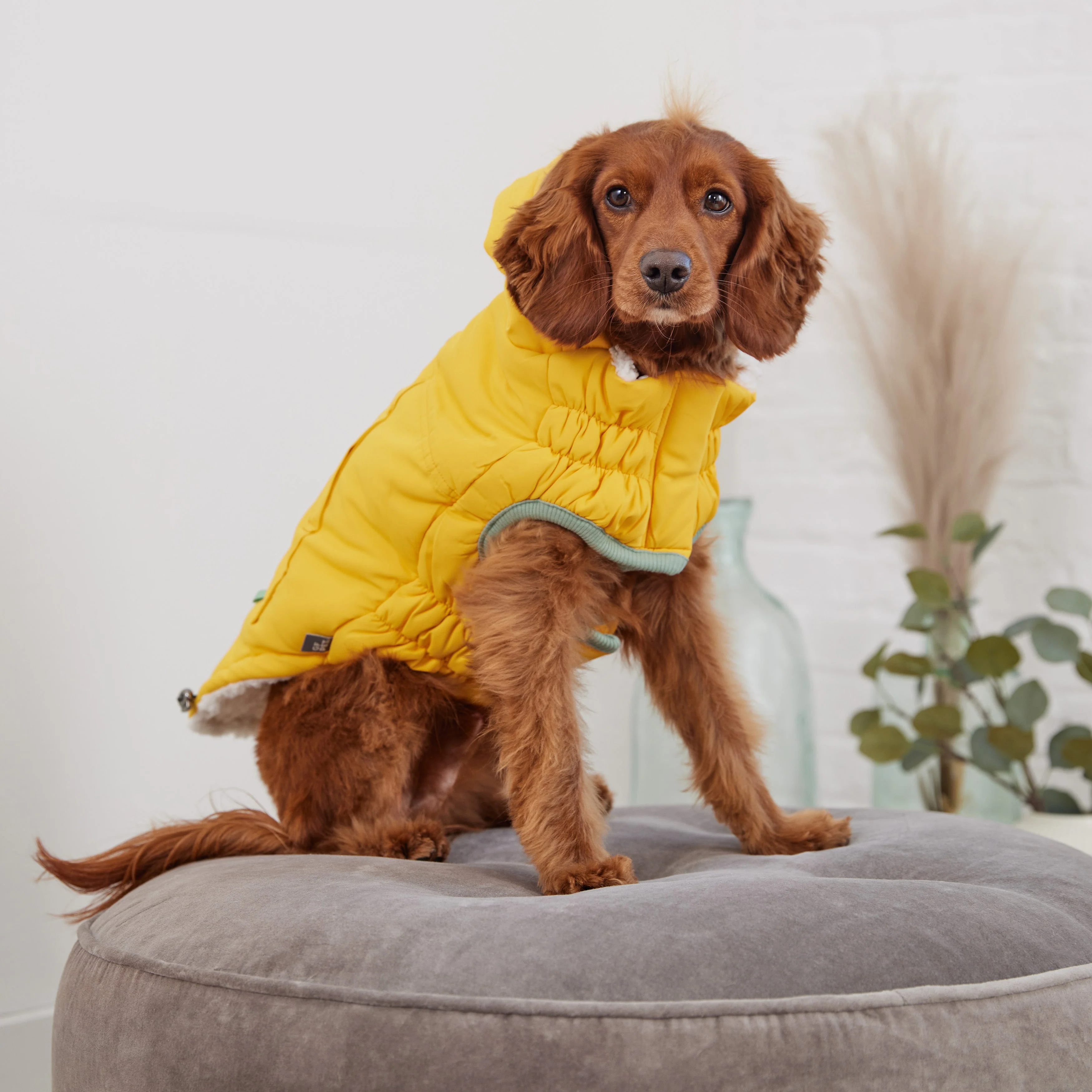 Arctic Parka - Yellow - Image 5